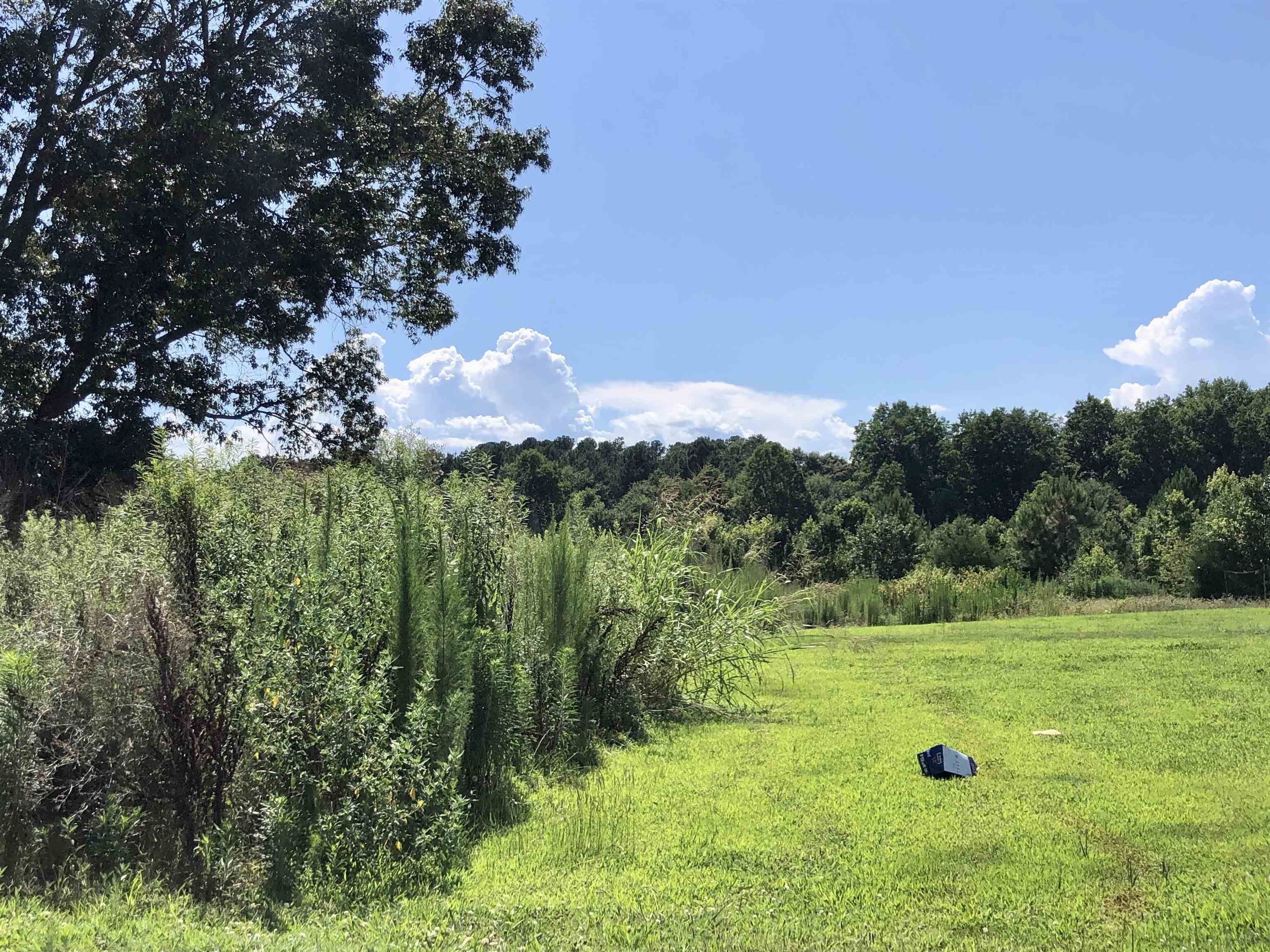 P/O 491 Island Creek Road