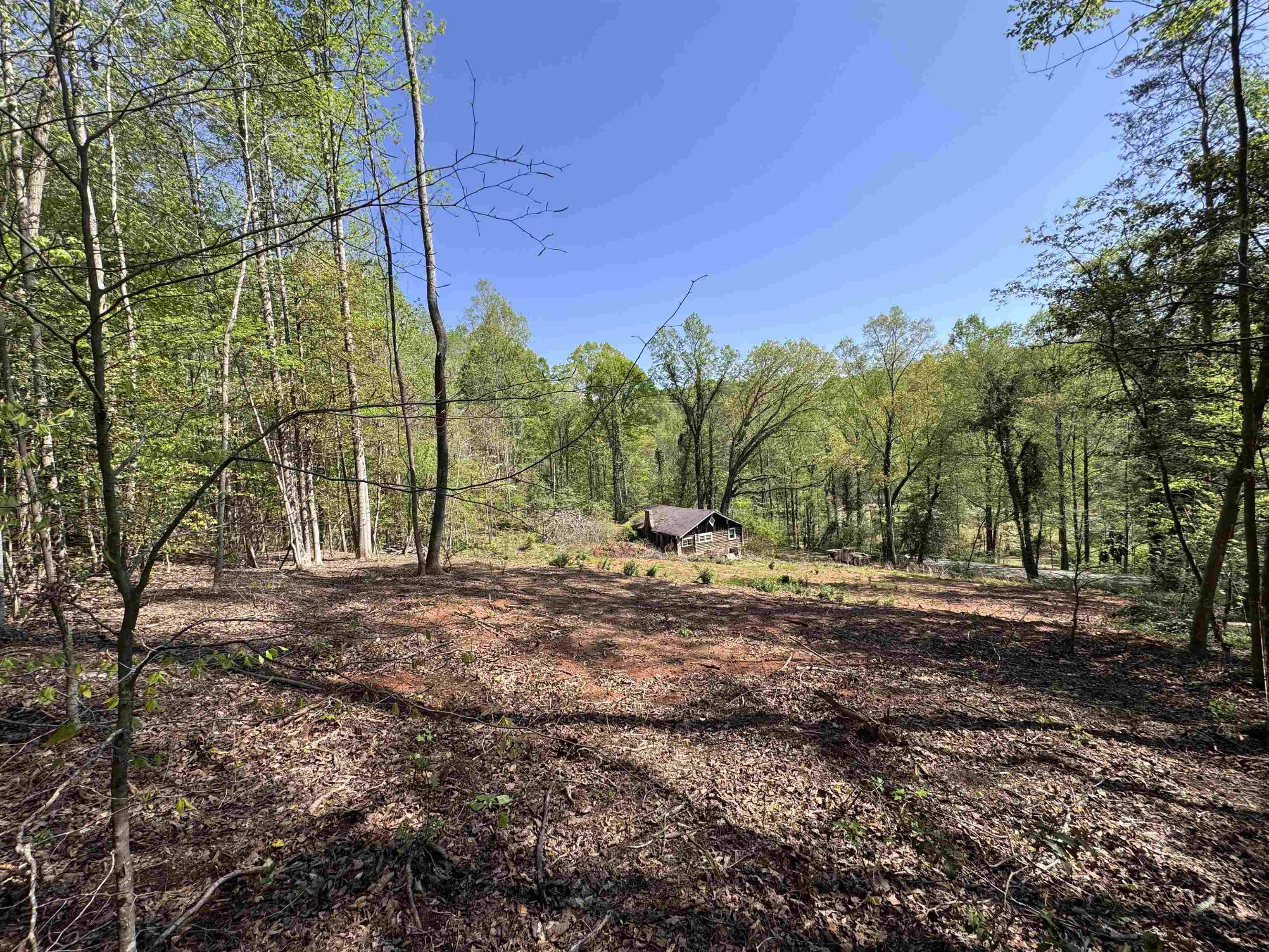 8875 N Tigerville Road