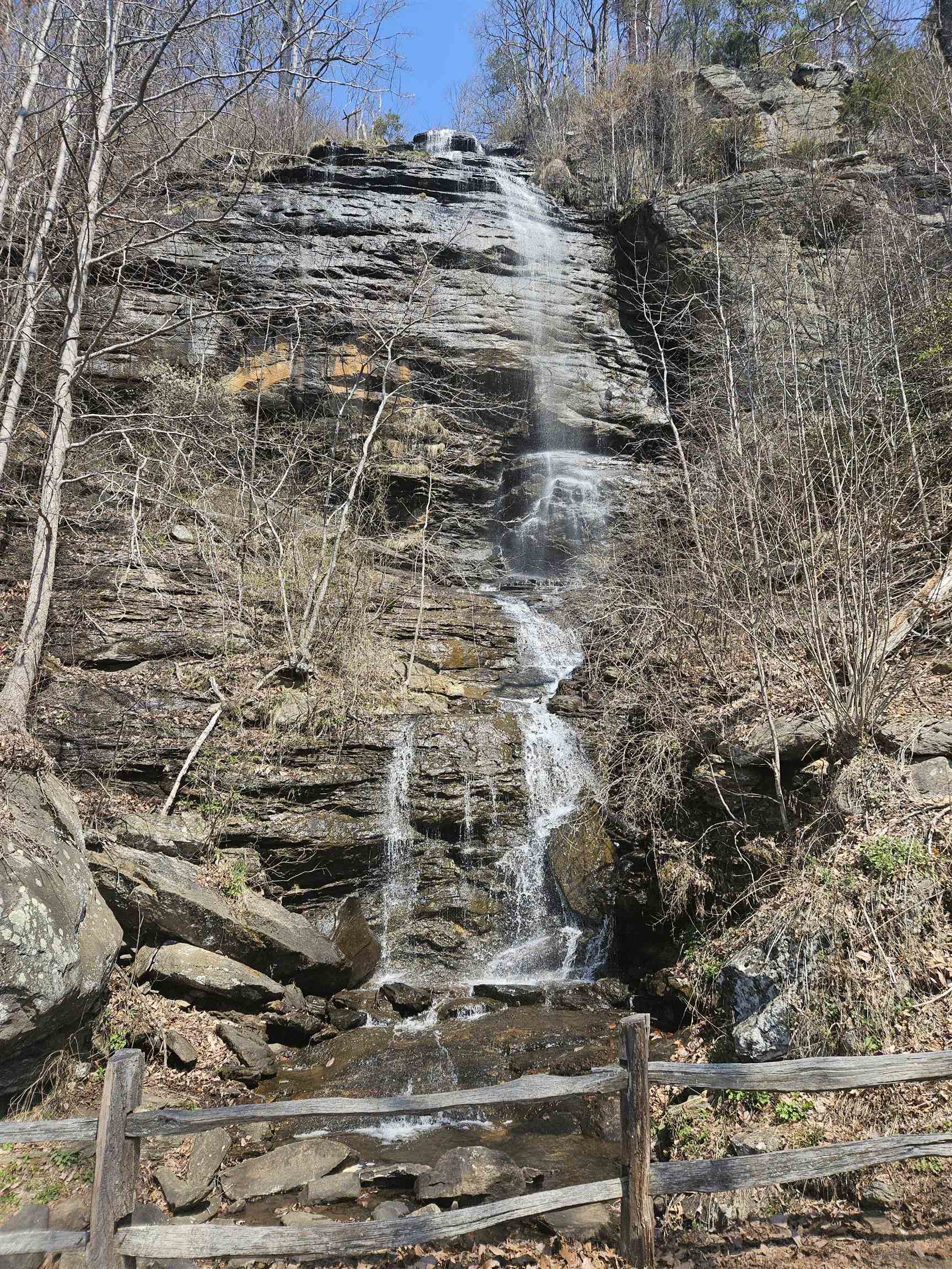 Image 15