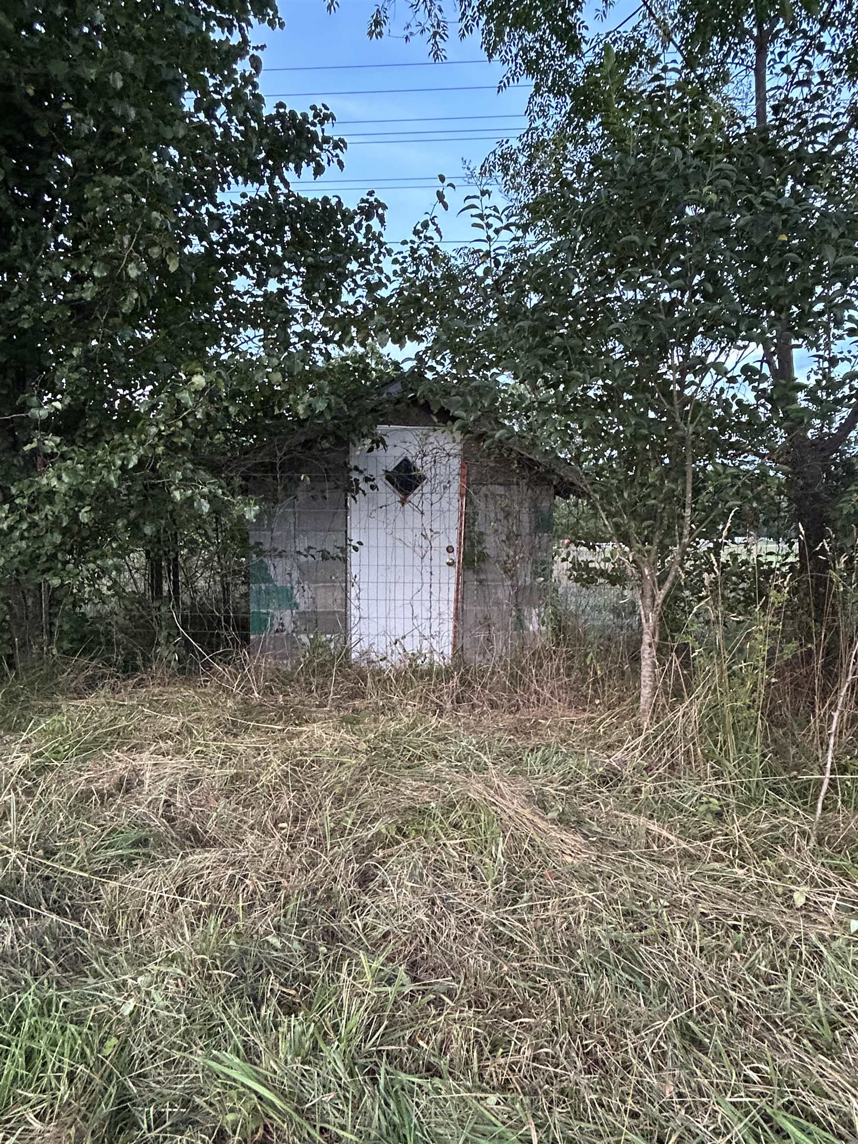 Image 6