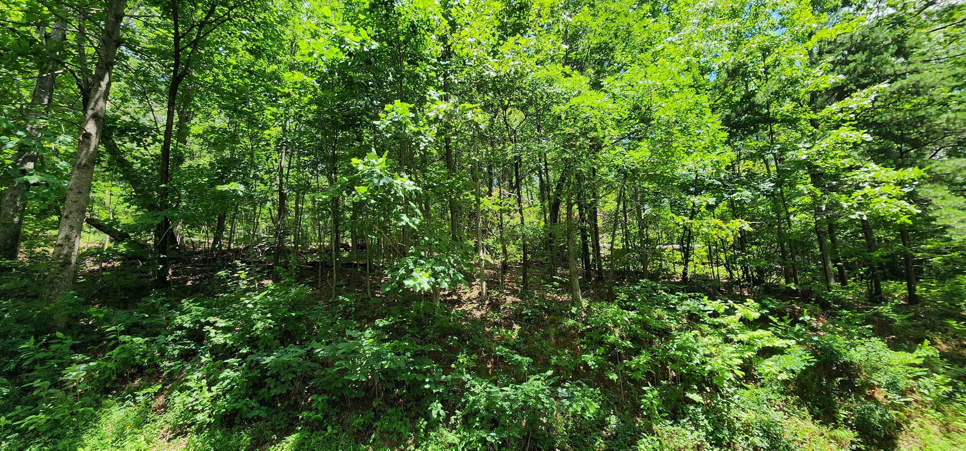 Image 13