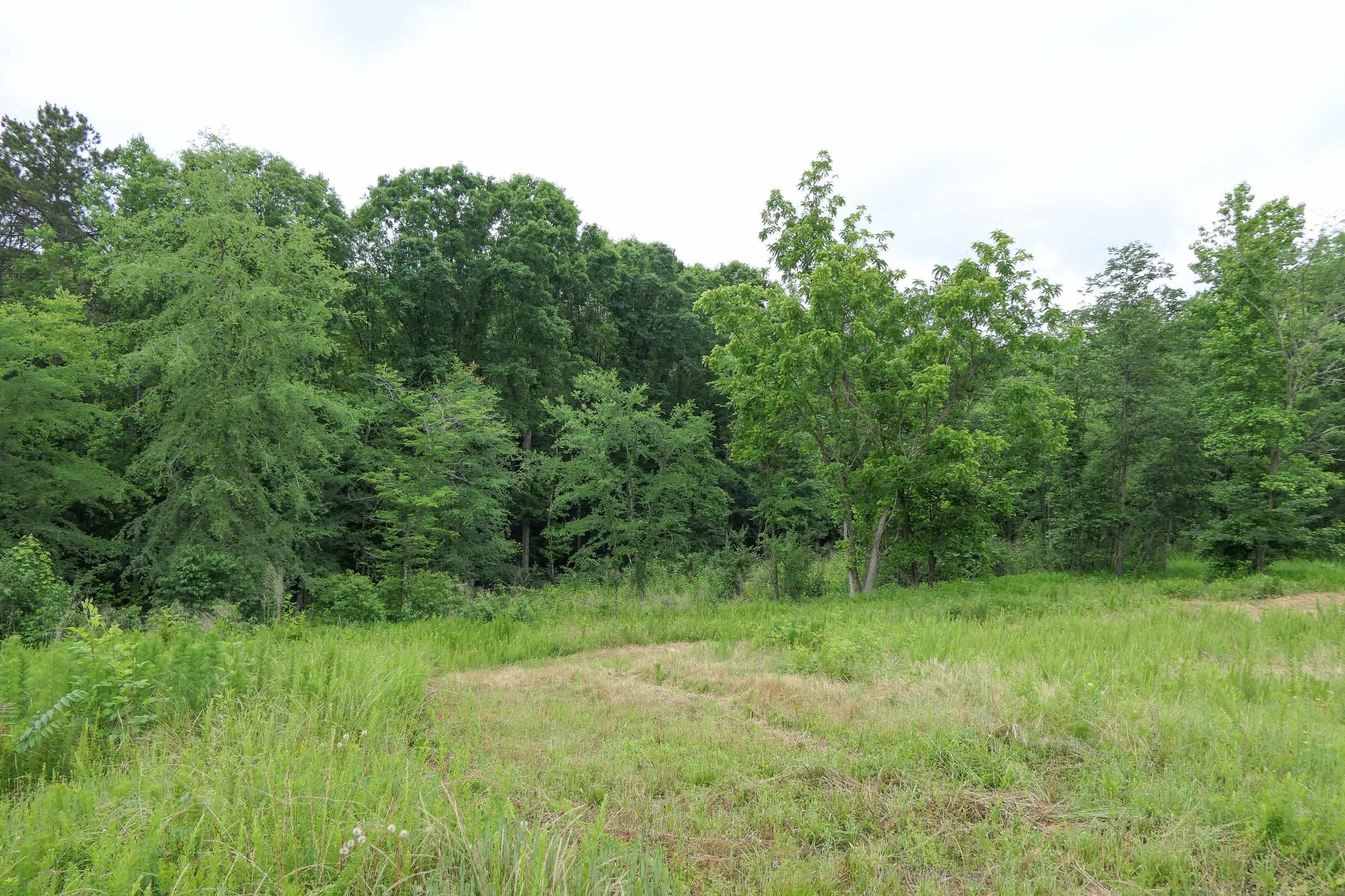 Image 32