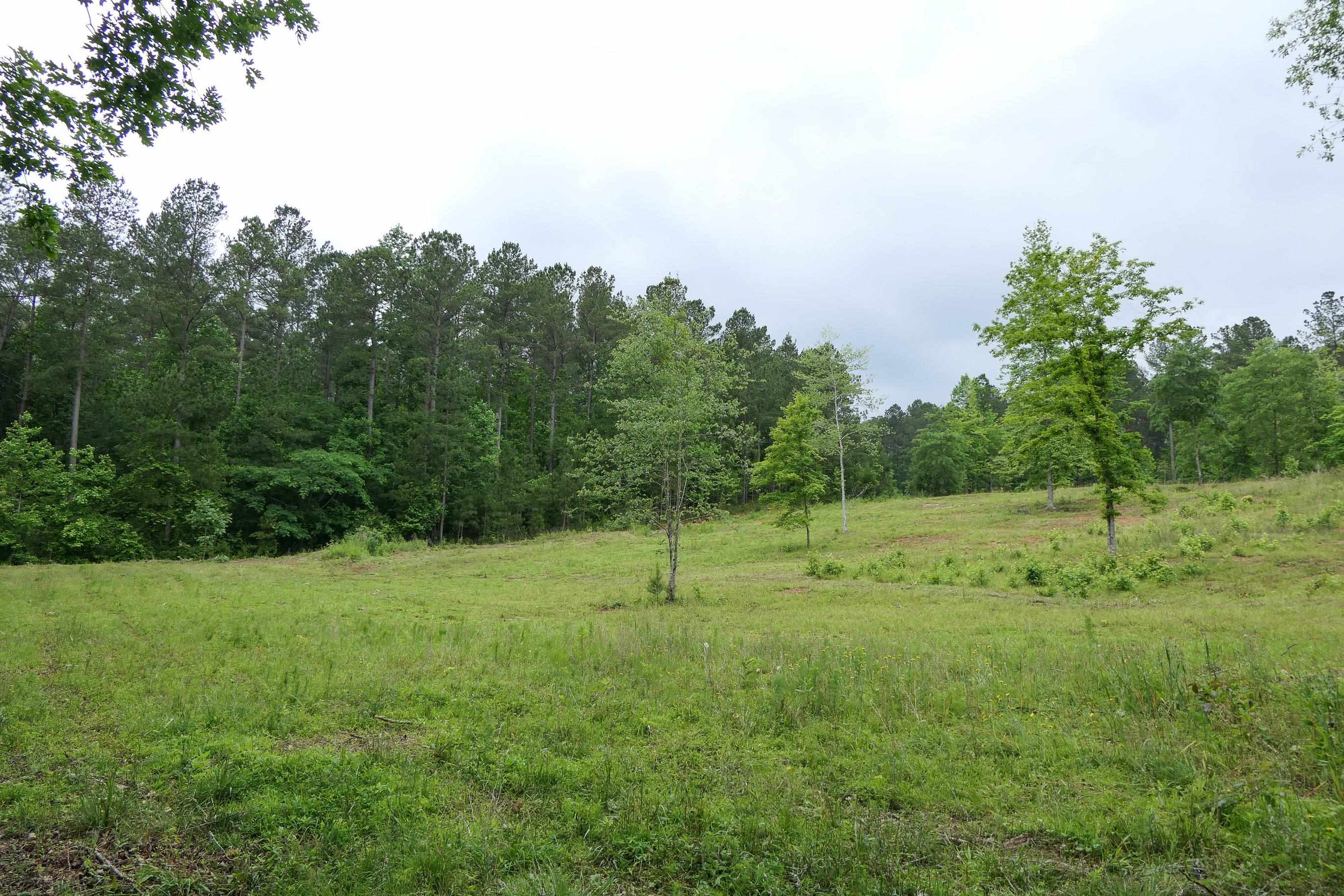 Image 36