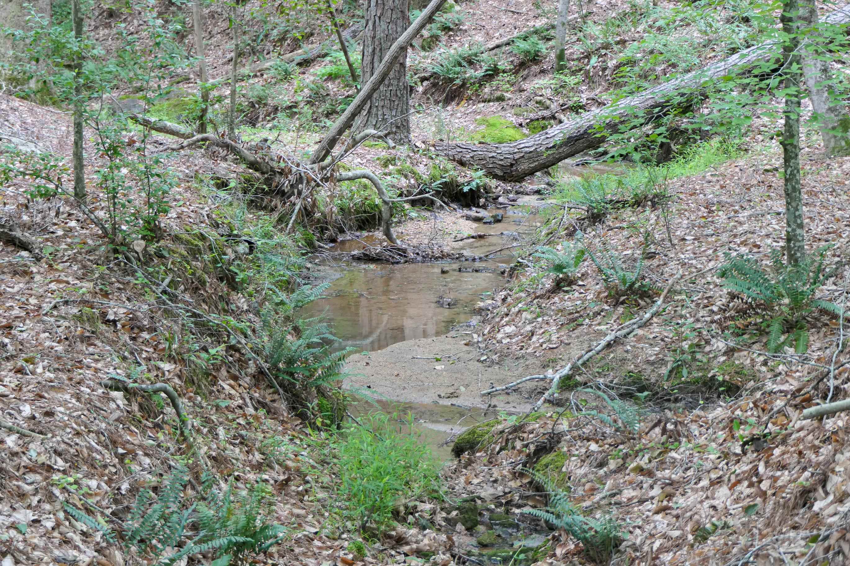Image 37