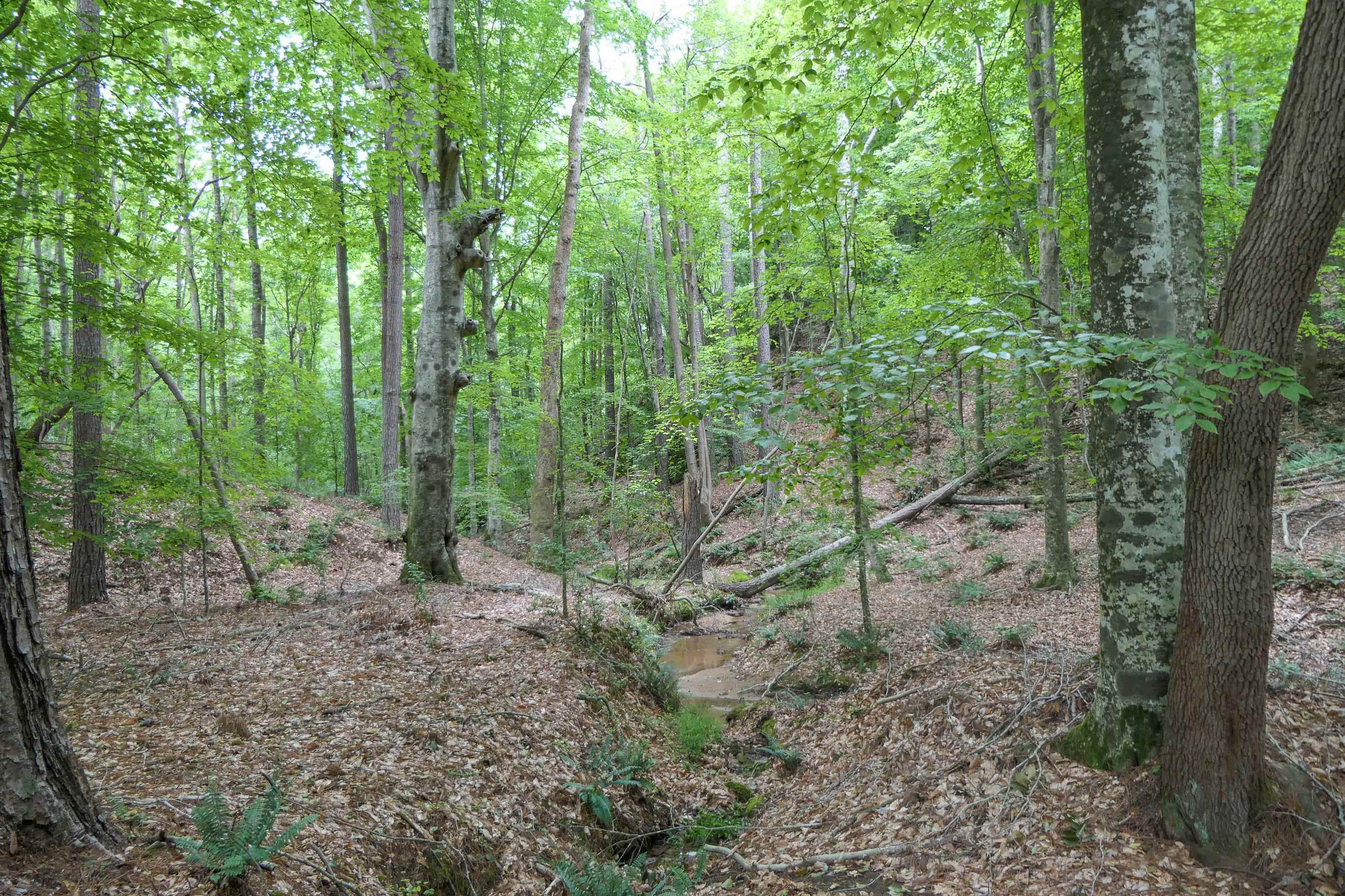 Image 38