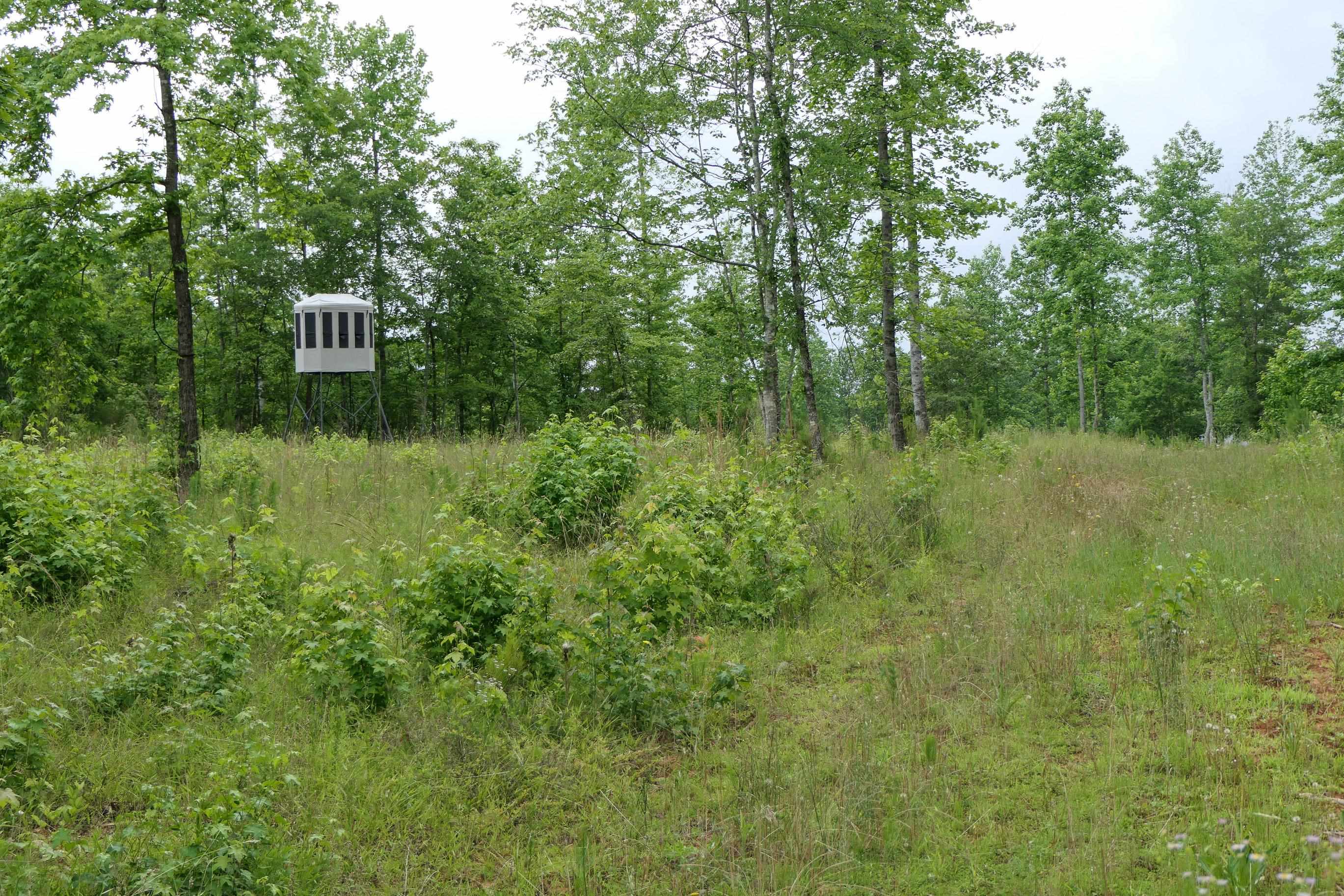 Image 39