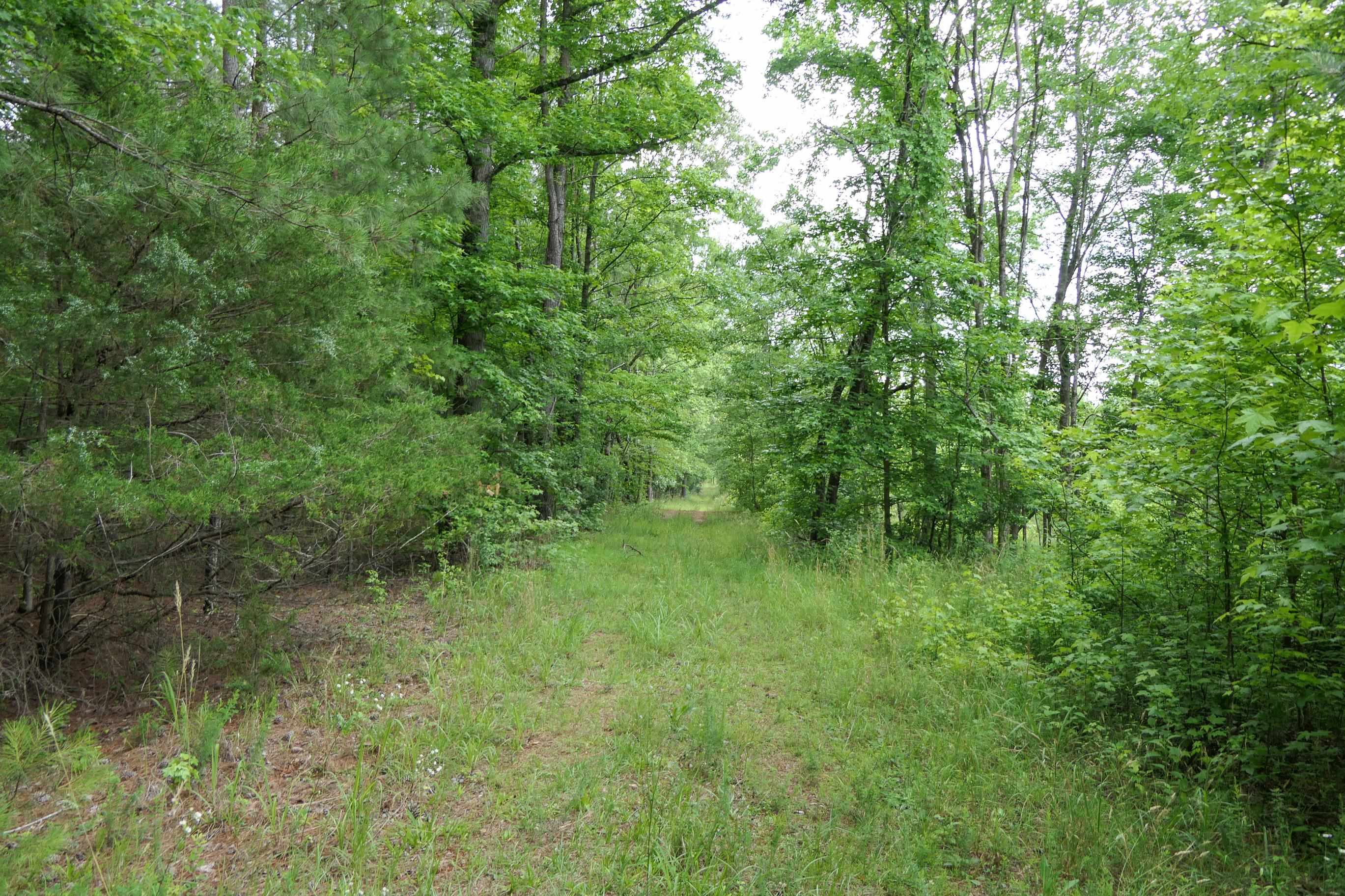 Image 40