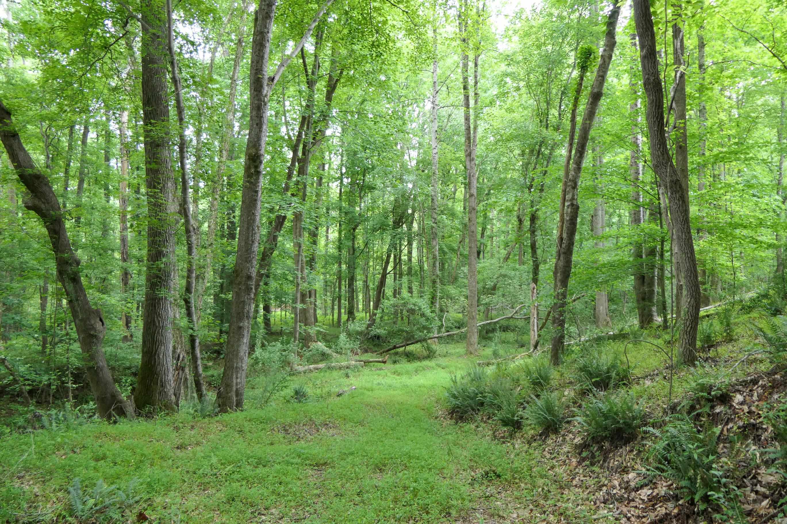 Image 41