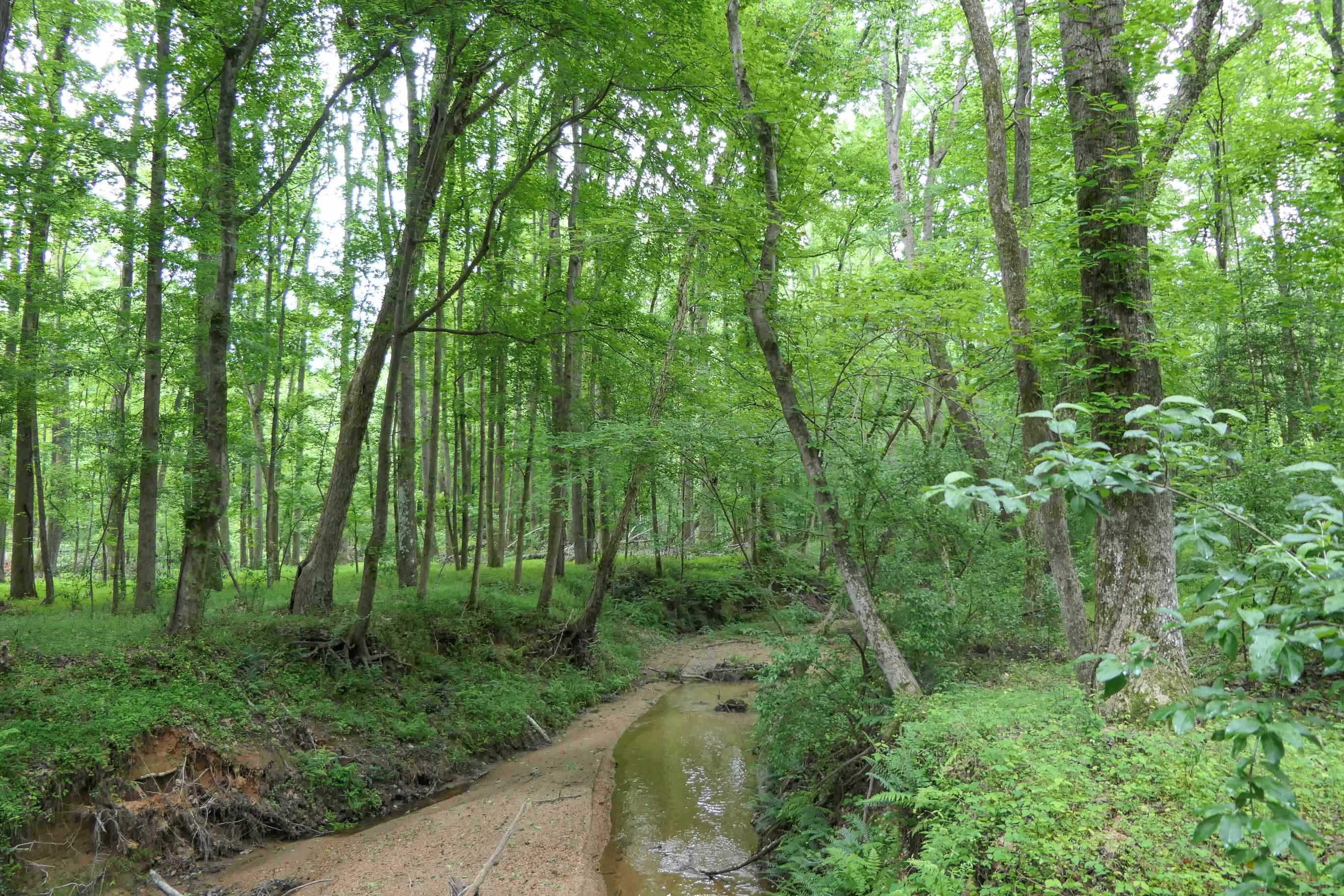 Image 42