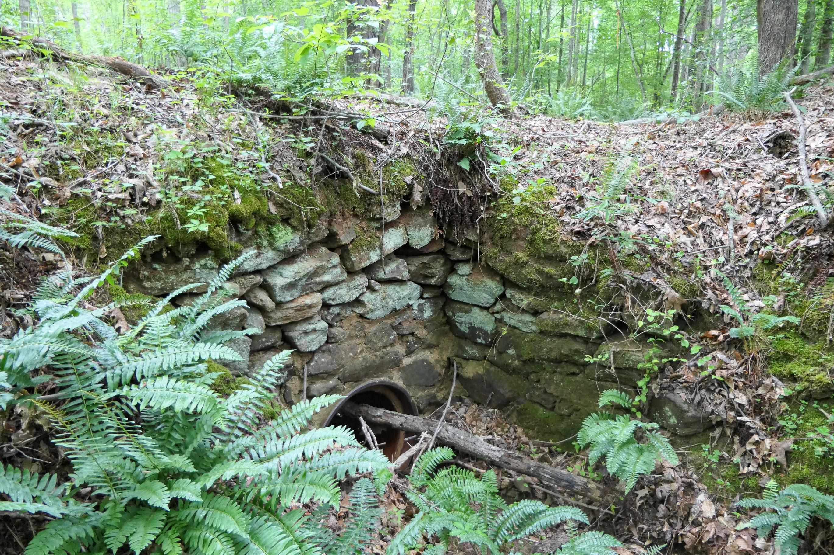 Image 44