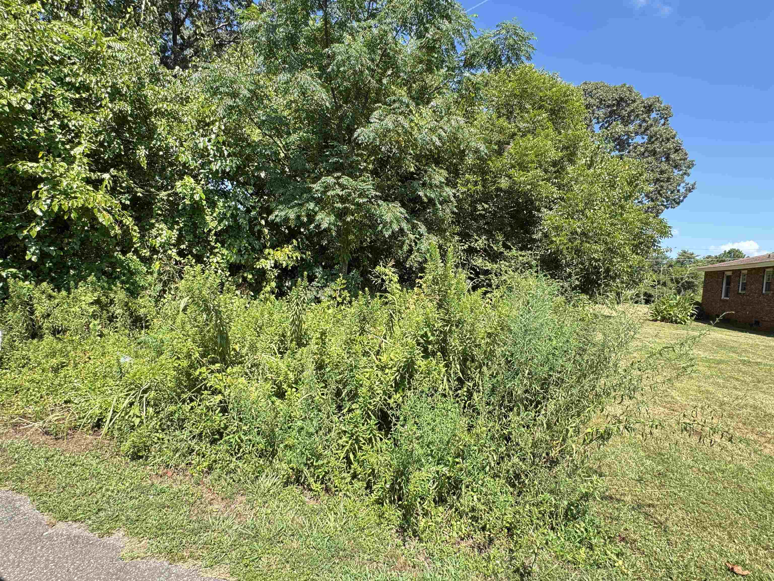 Lot 31 Sims Lane