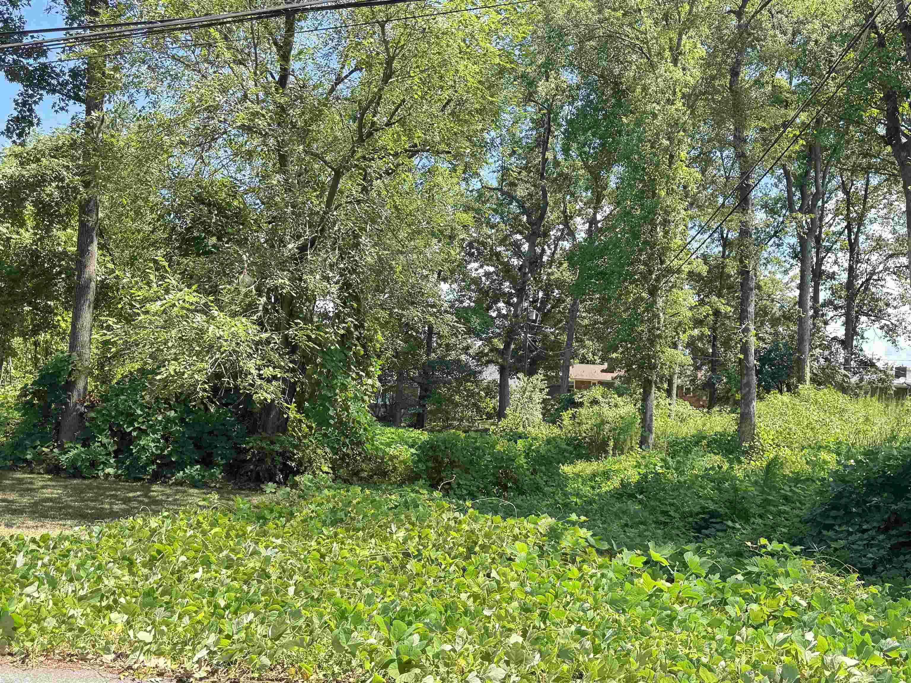 Lot 20 Peach Valley Circle