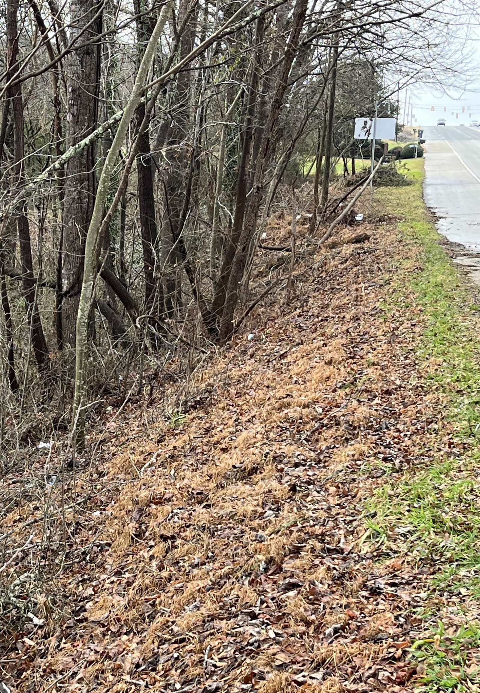 0 Greenville Highway
