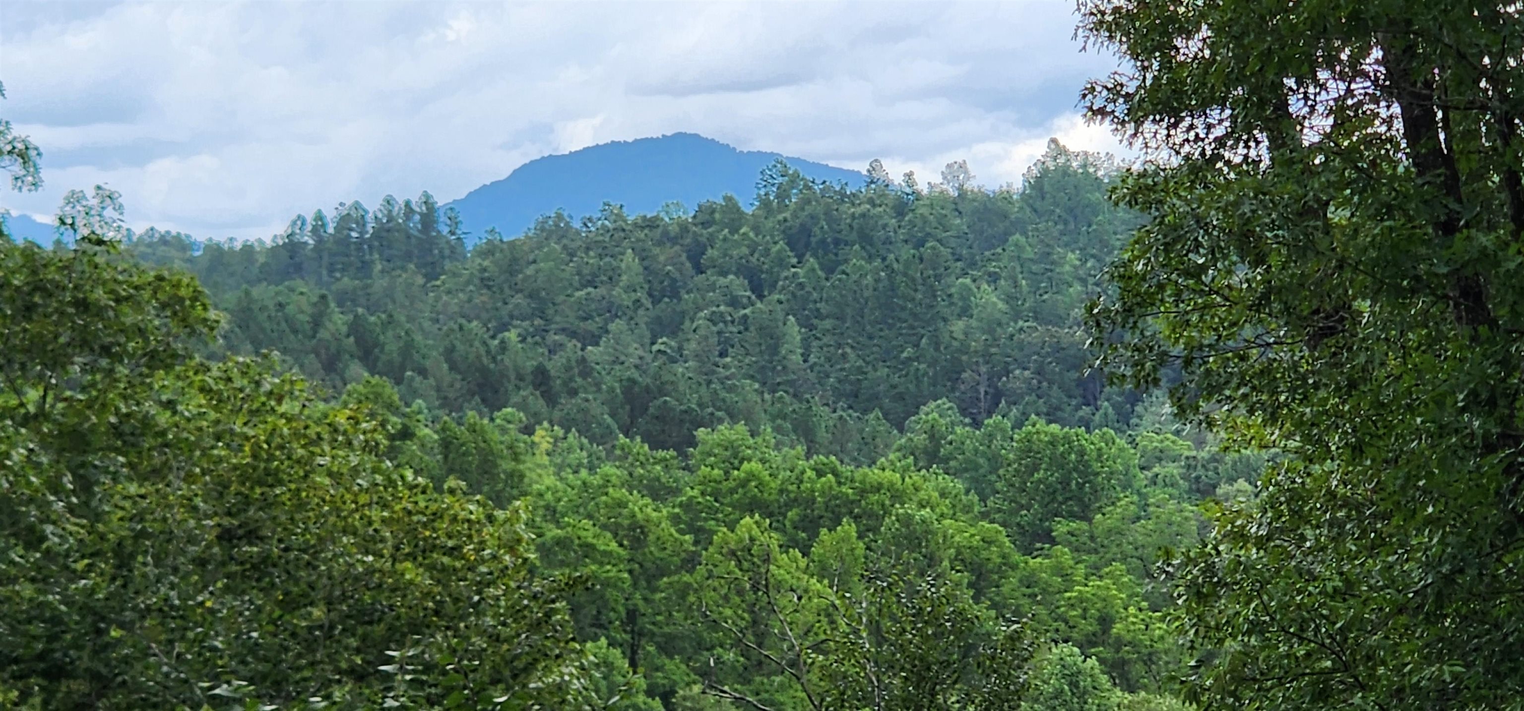 Lot 3 S Cross Creek Trail