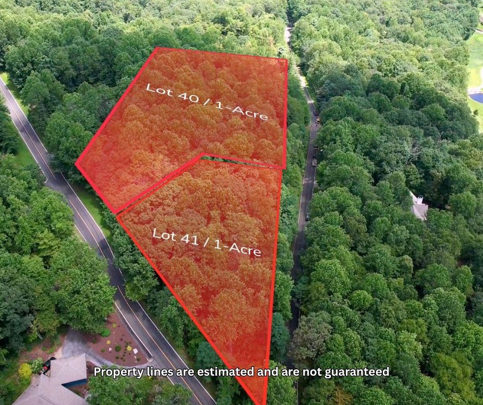 Lt 41 Snap Dragon Way