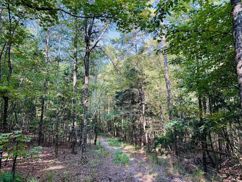 1123 Forneyville Road