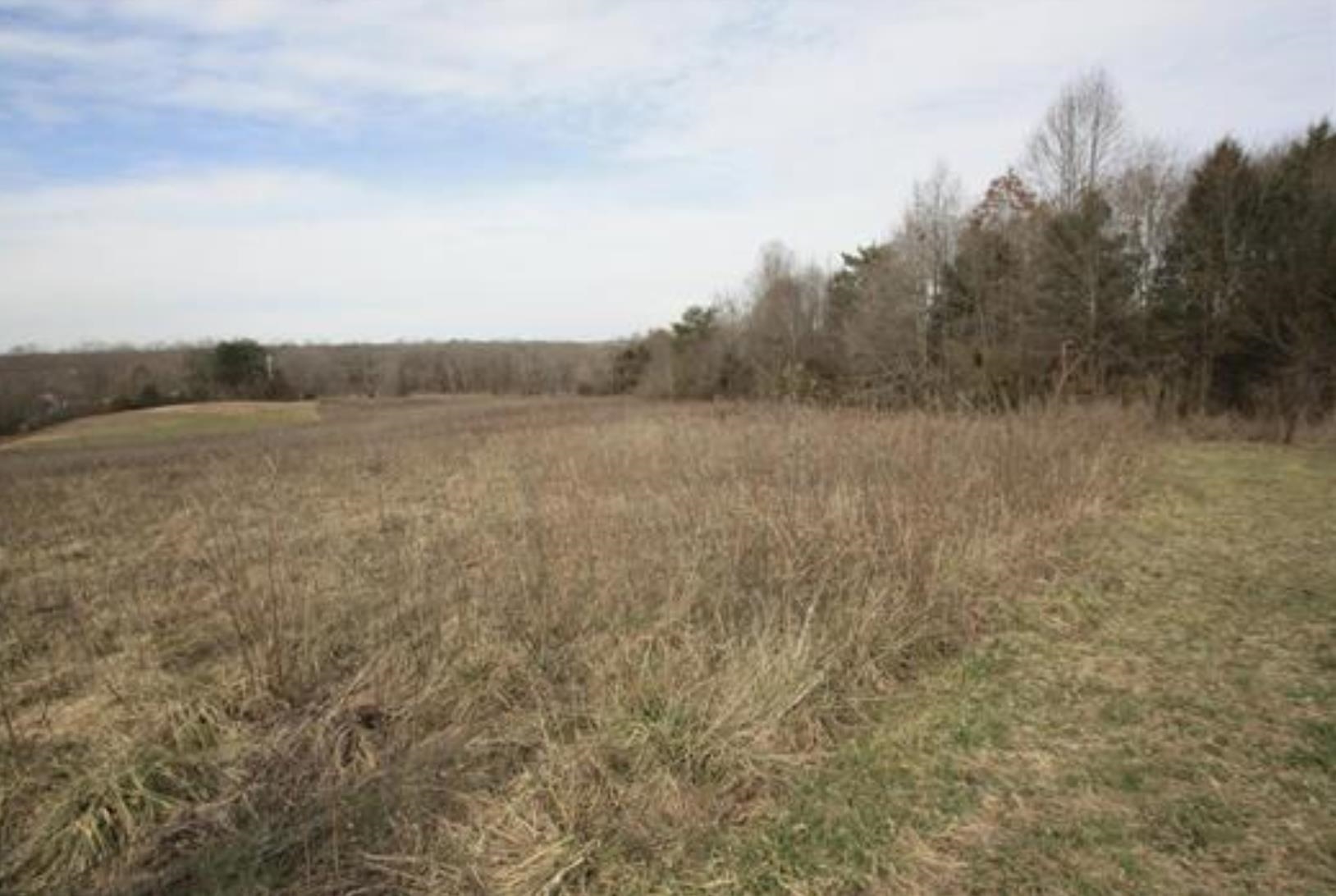 0 Grassy Pond Creek Road