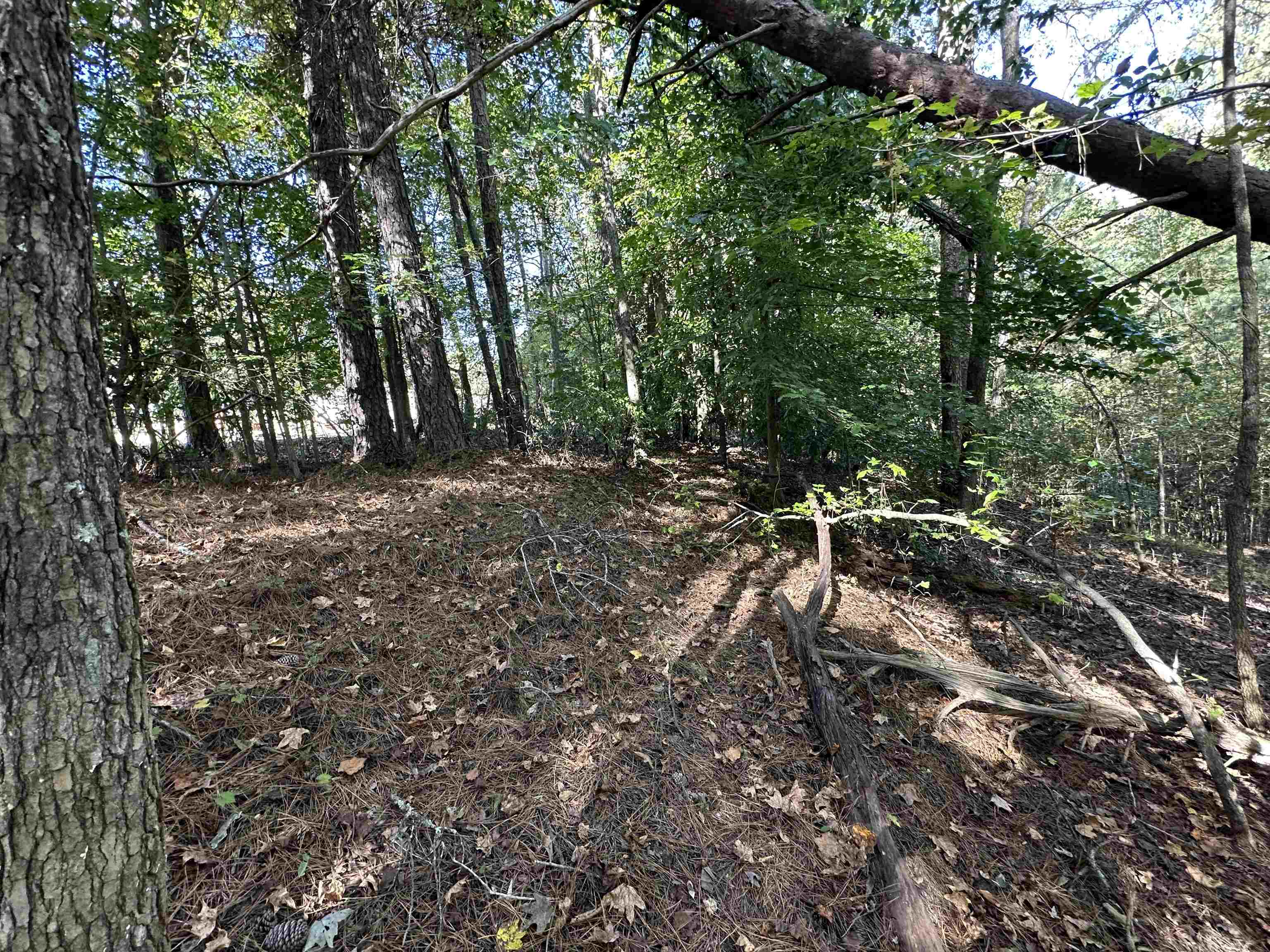 00 Hammett Grove Road