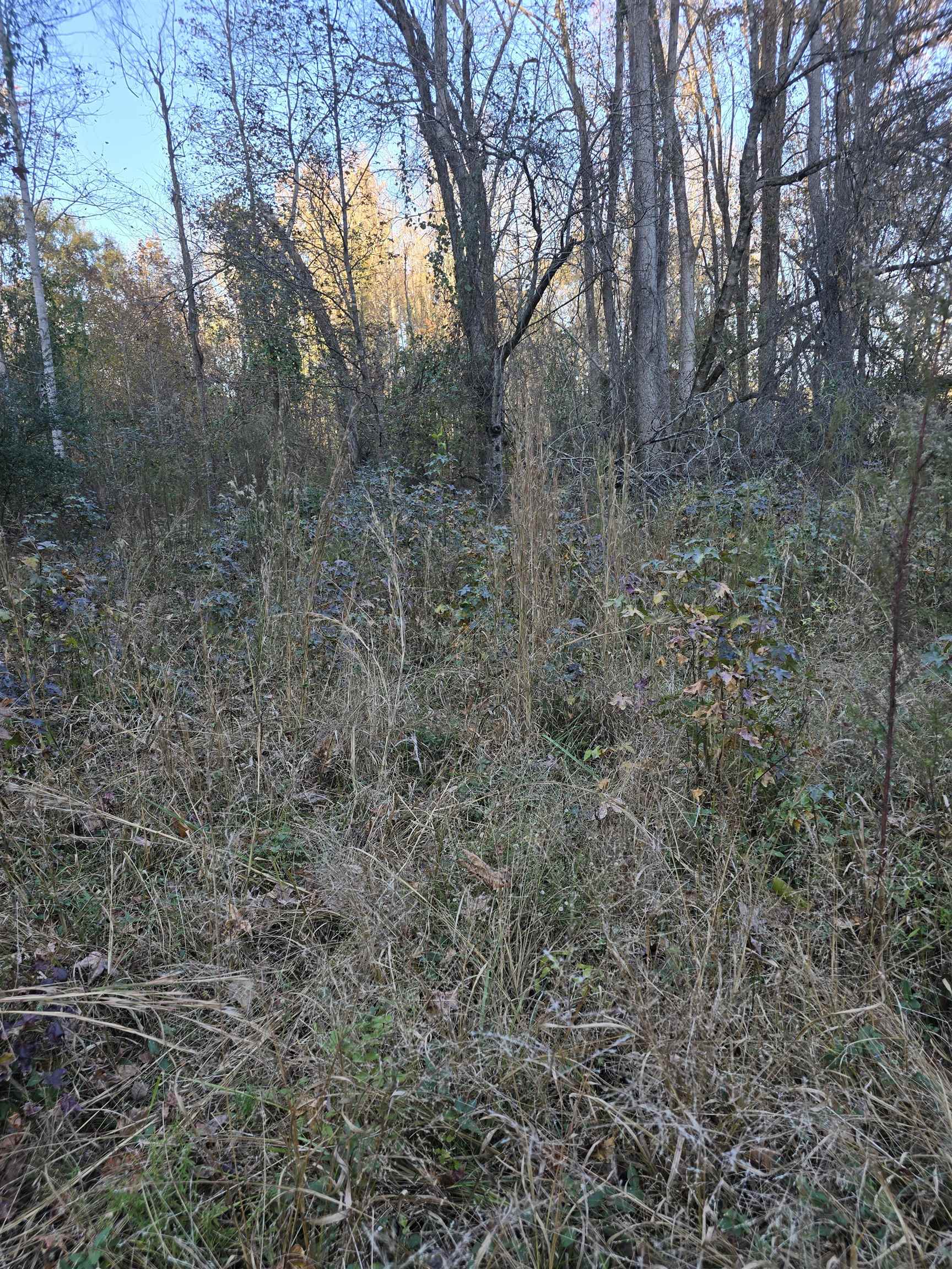 0 Graham Chapel Road