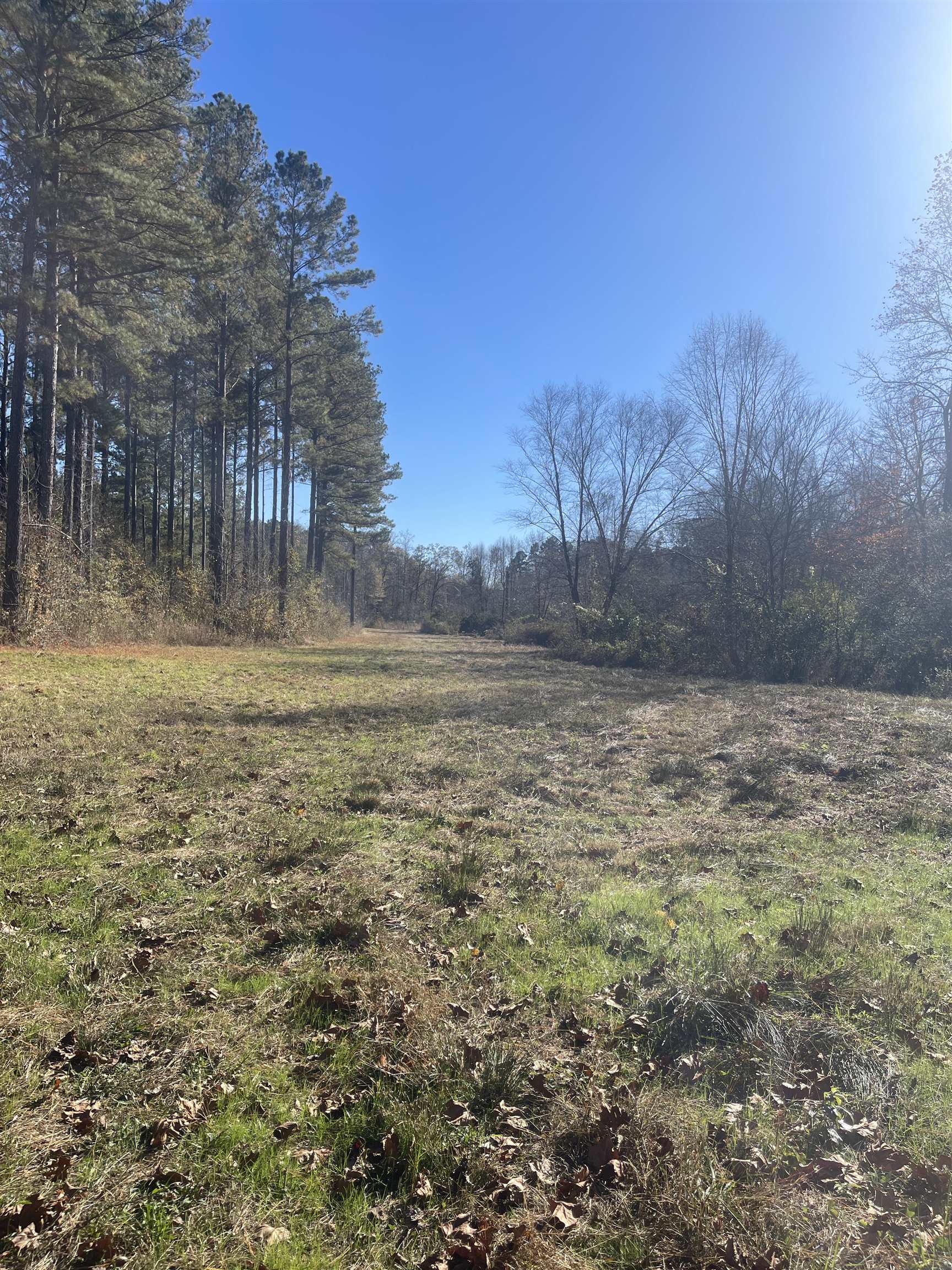 1944 Dr John's Roads