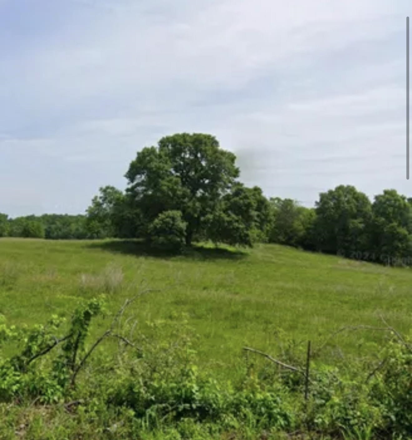 Carolina Ridge Road (Lots 10 & 11)