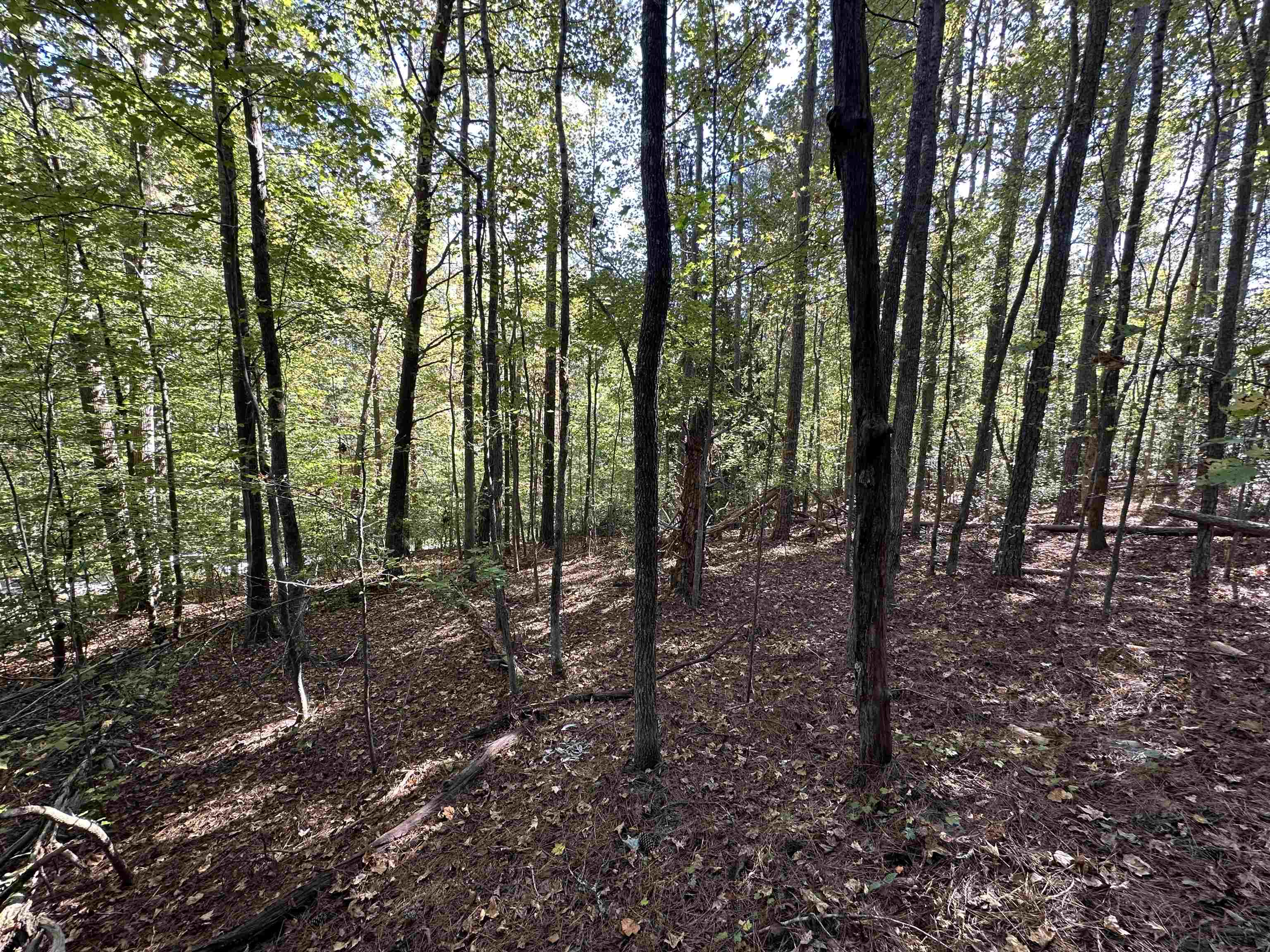 00 Hammett Grove Road