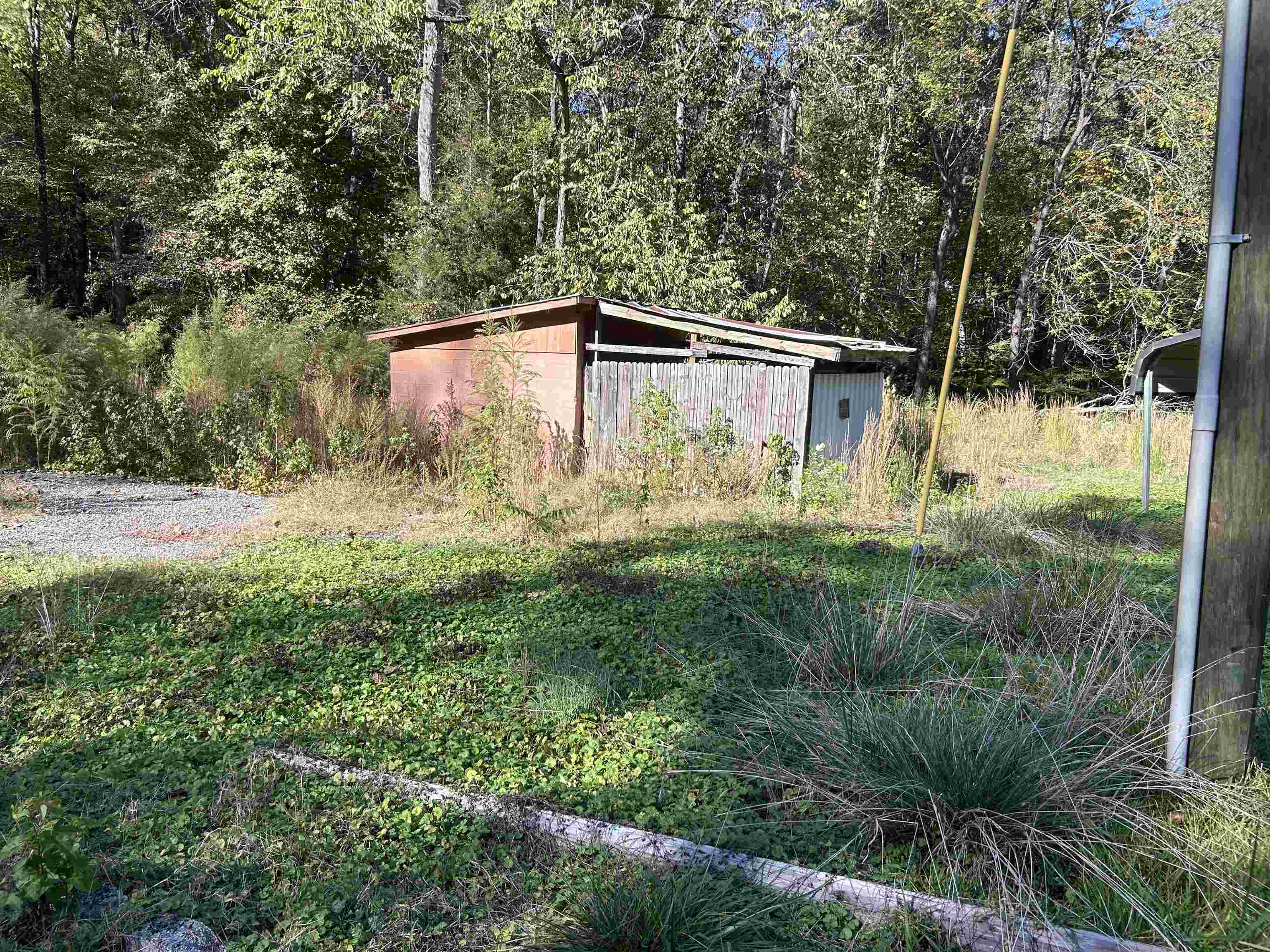 Image 13