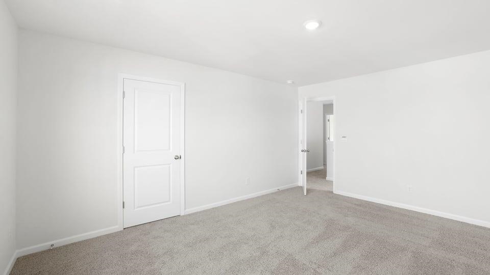Image 20