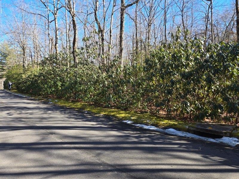 108 Hemlock Trail
