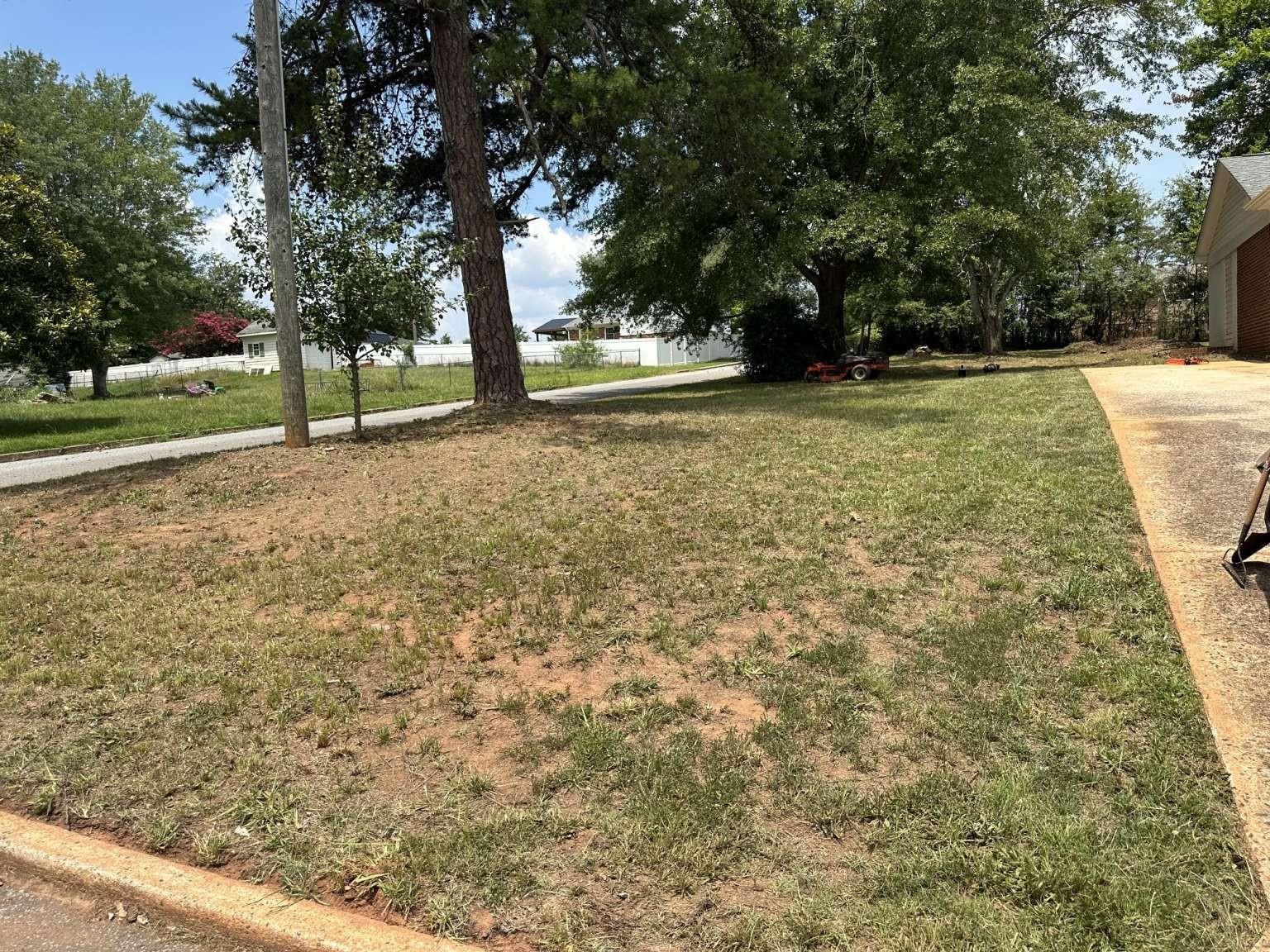 Image 19