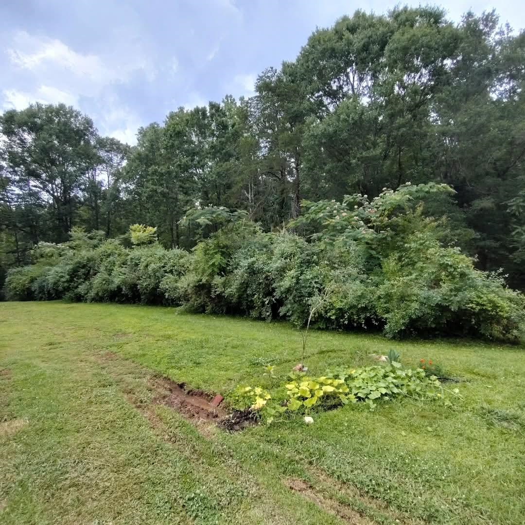 Image 13