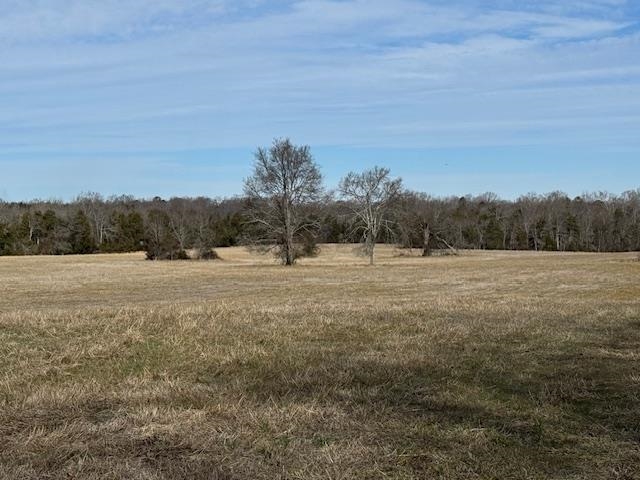 00 Lower Fairforest Church Road