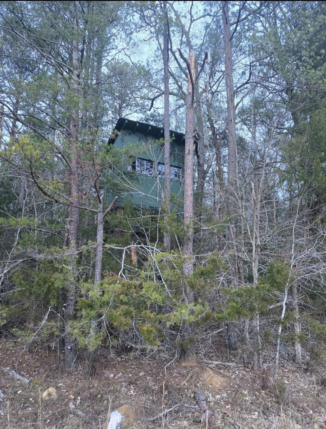 Image 6
