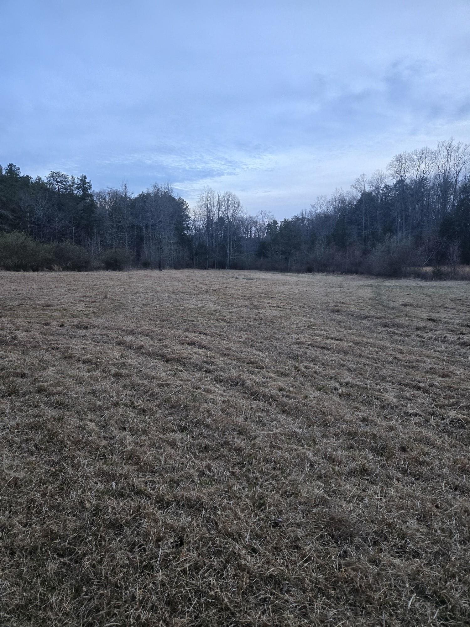Image 14