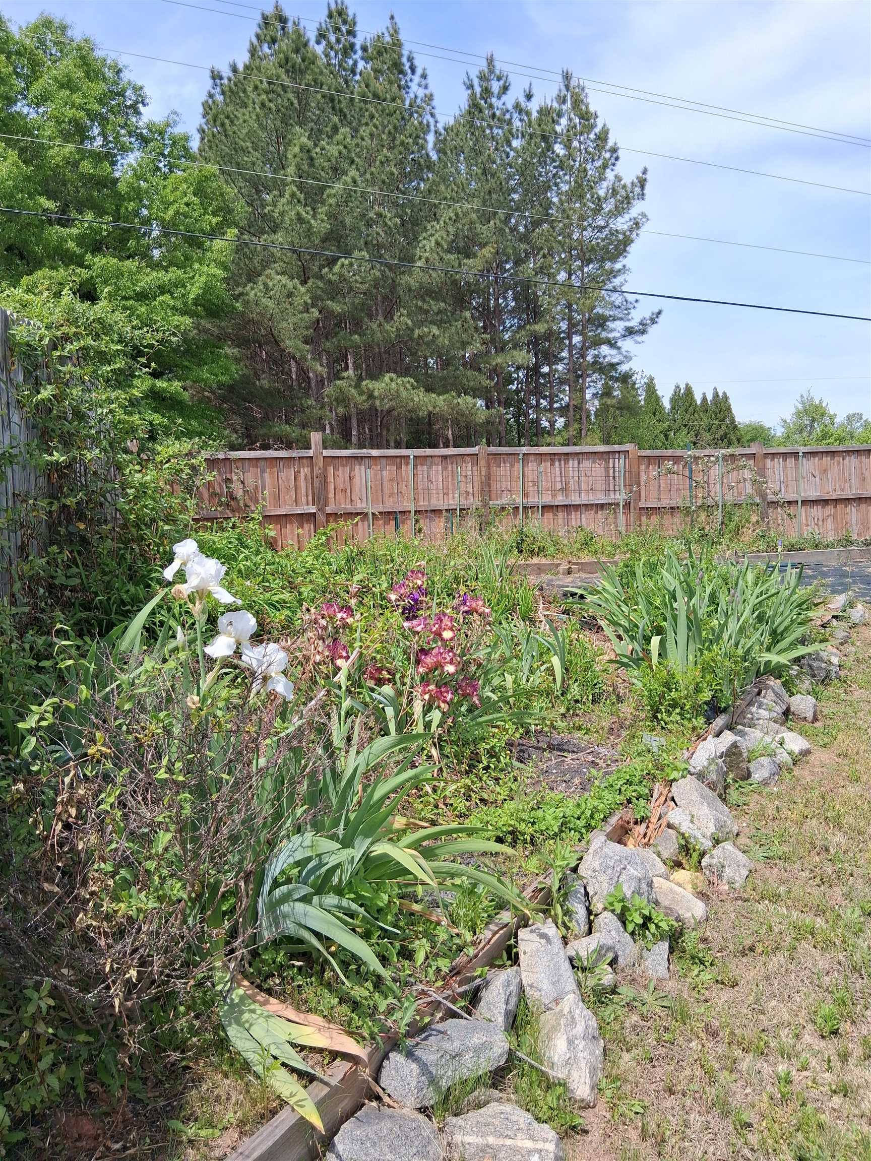 Image 39