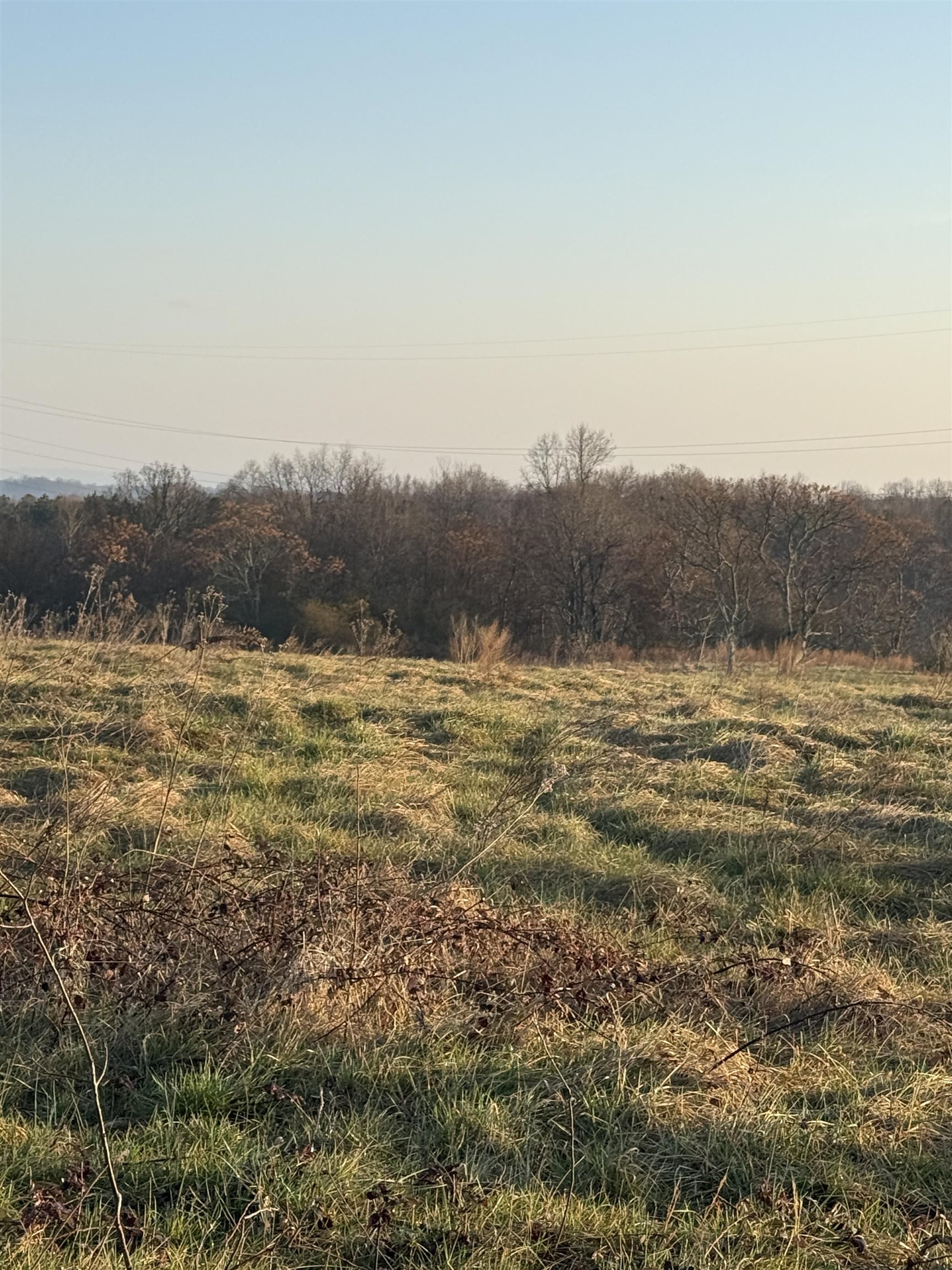 Carolina Ridge Road Lot 10