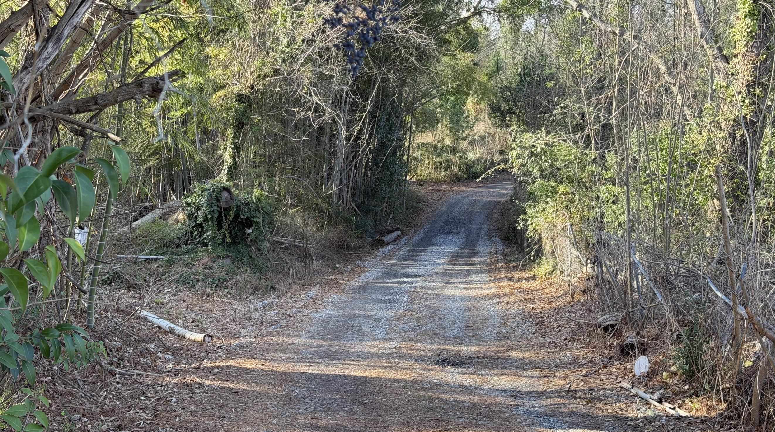 00 W.O. Ezell Boulevard