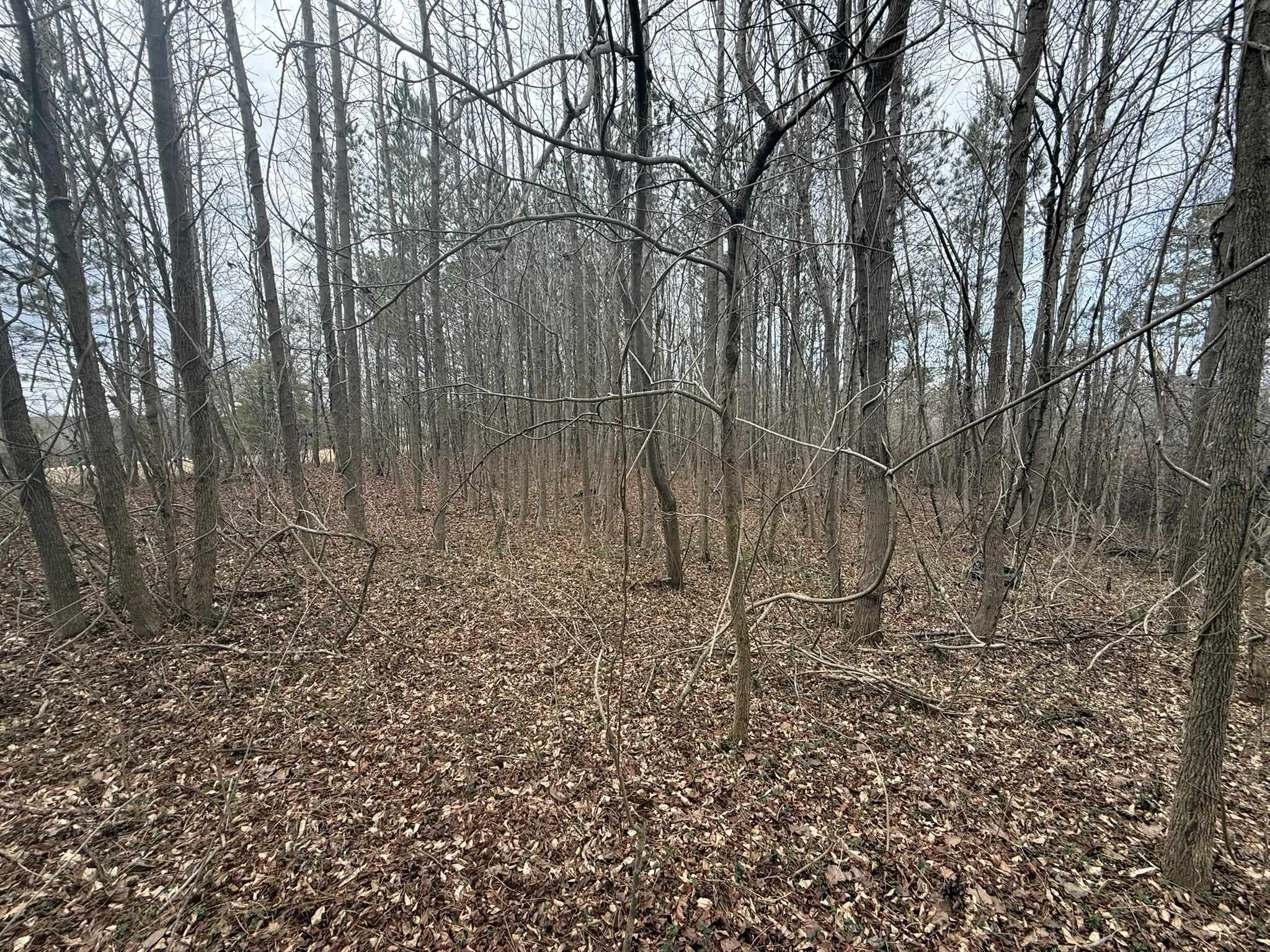 Image 8