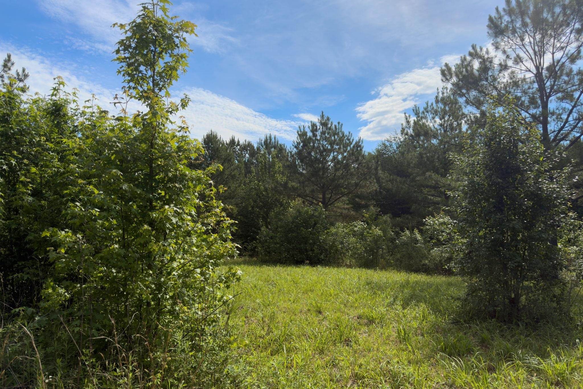 Image 9