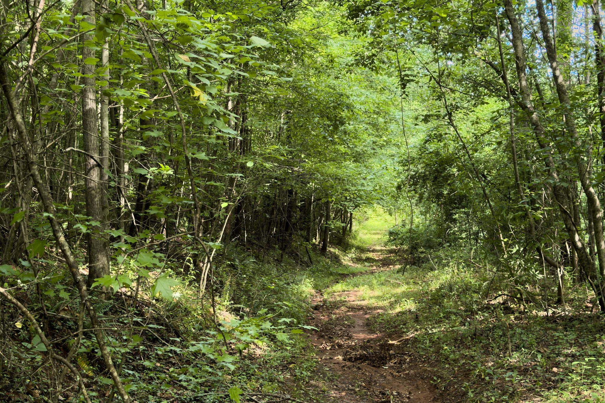 Image 13