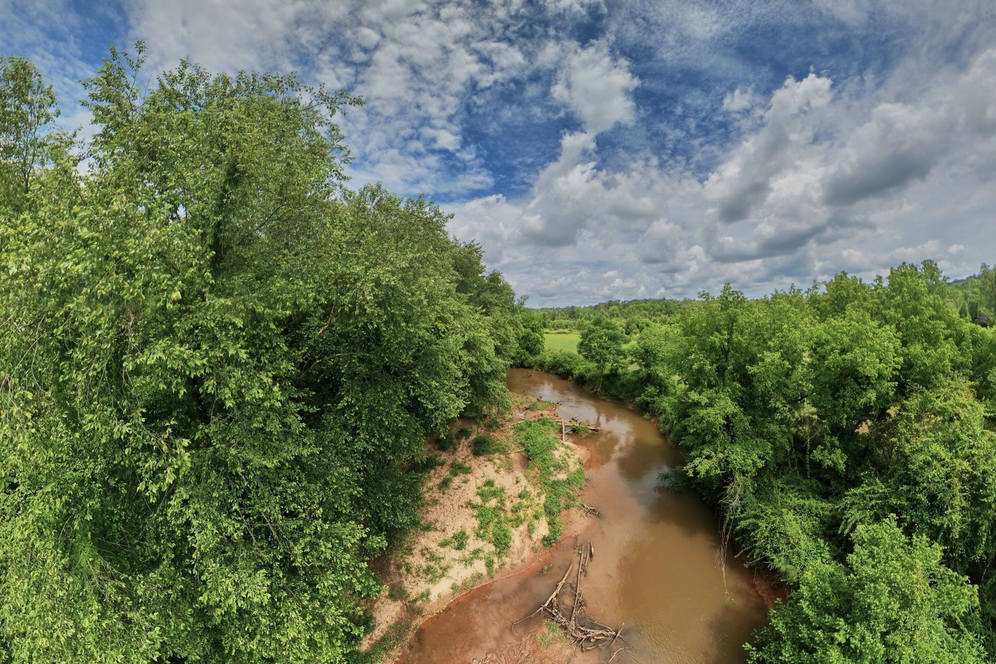 Image 24