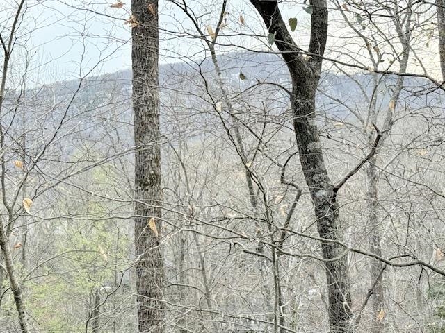 Image 33