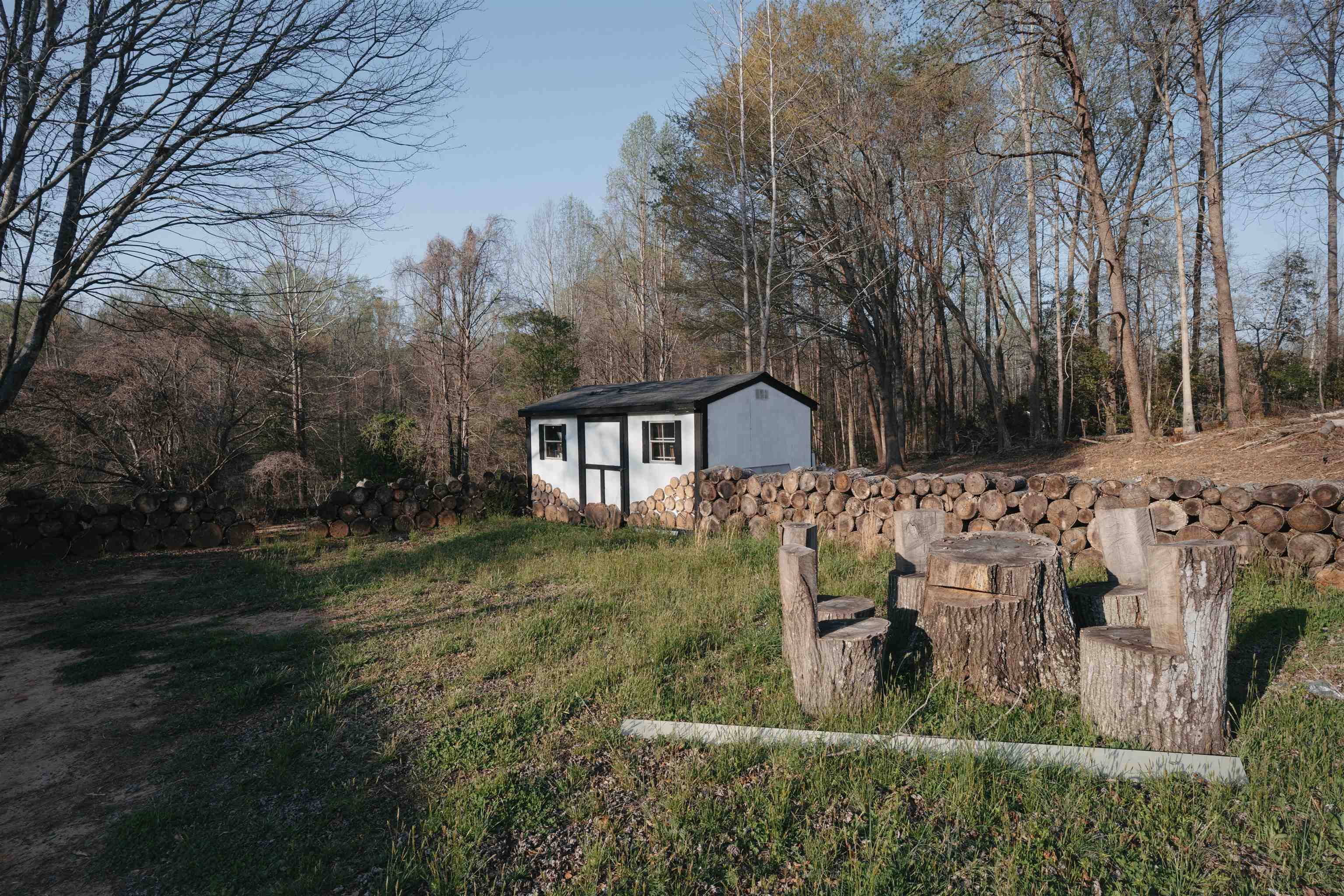 Image 8