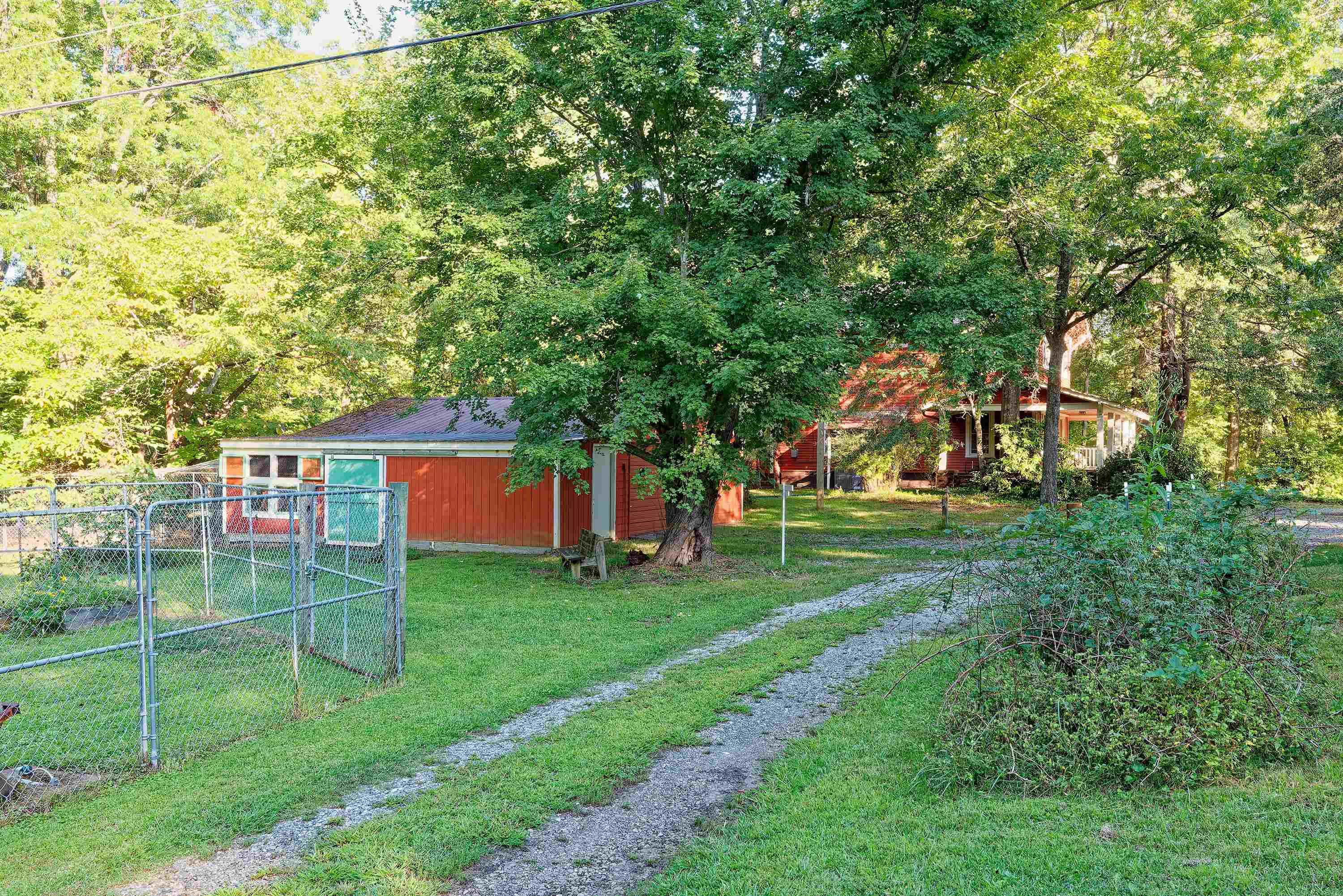 Image 36