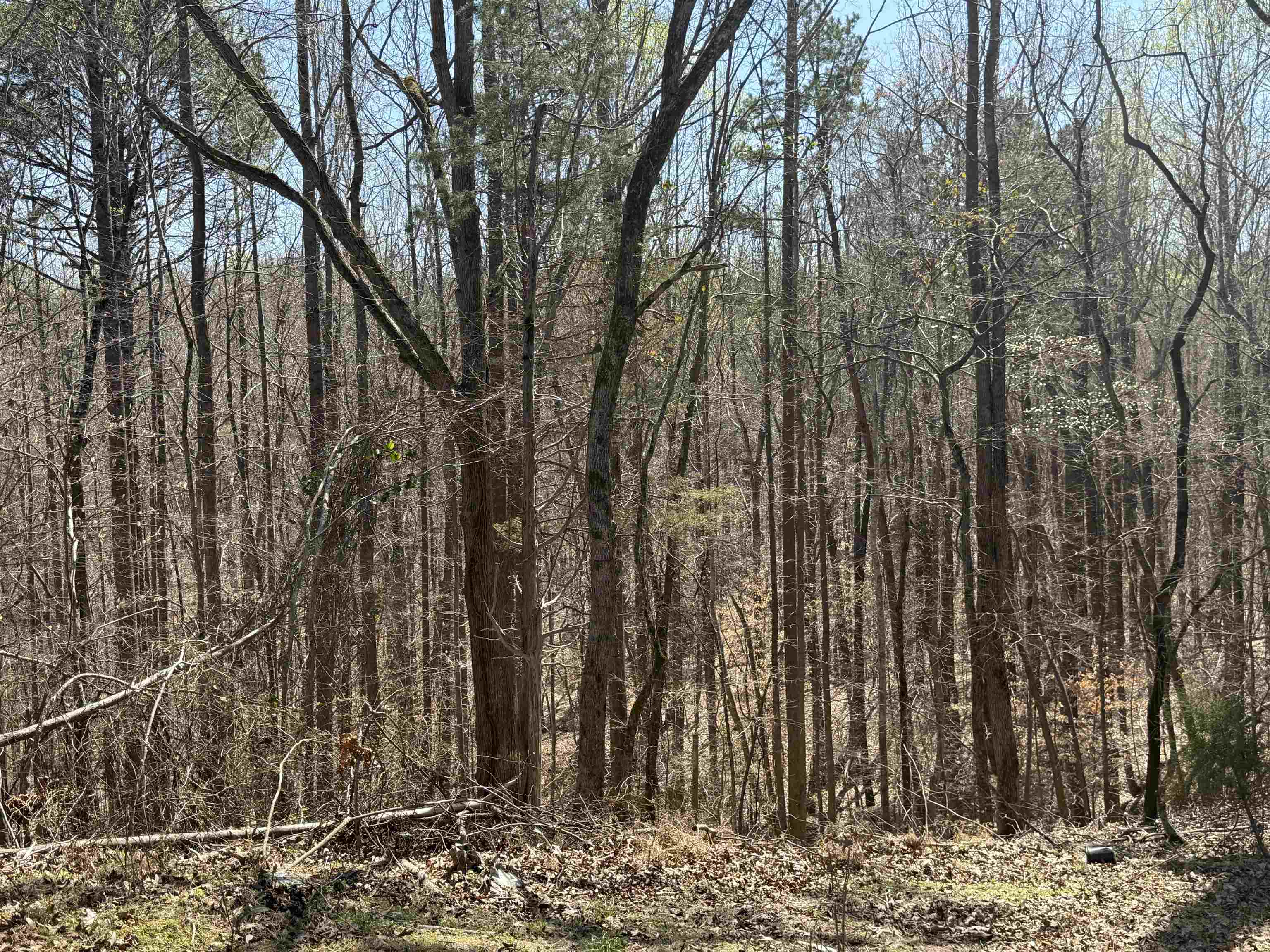 Image 12