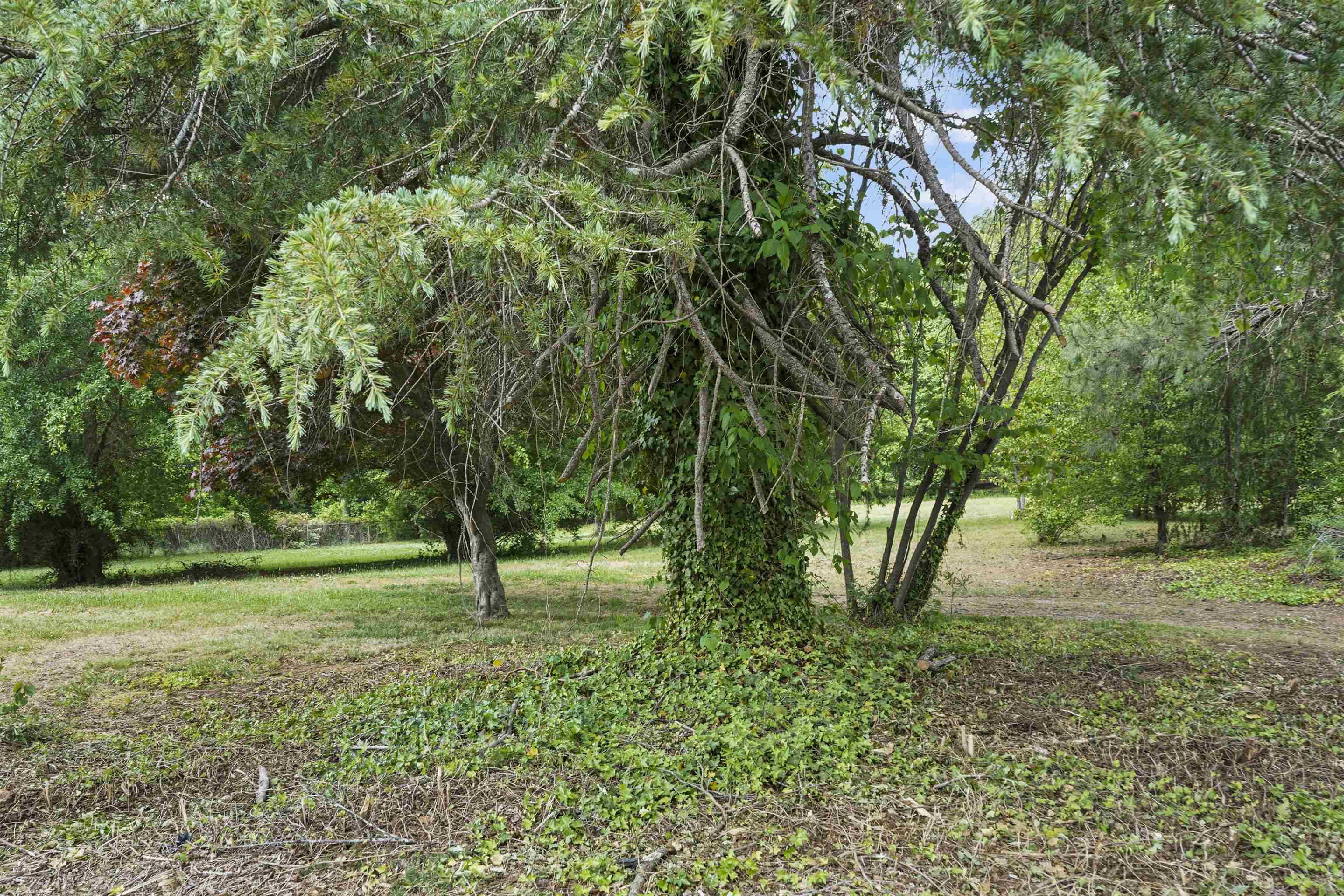 Image 27