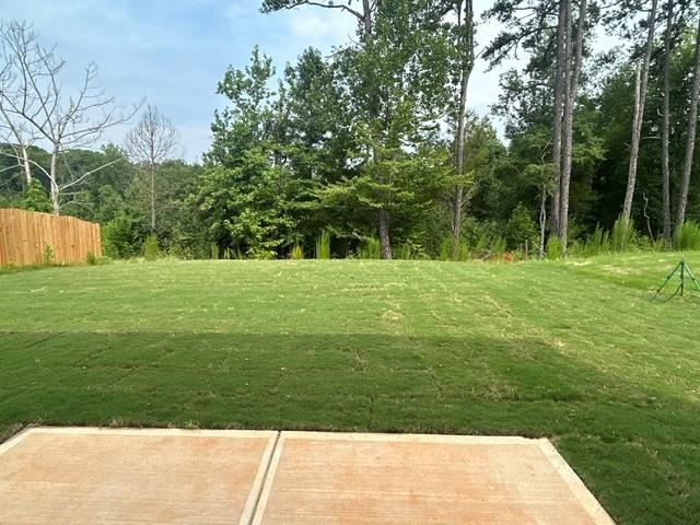 Image 15