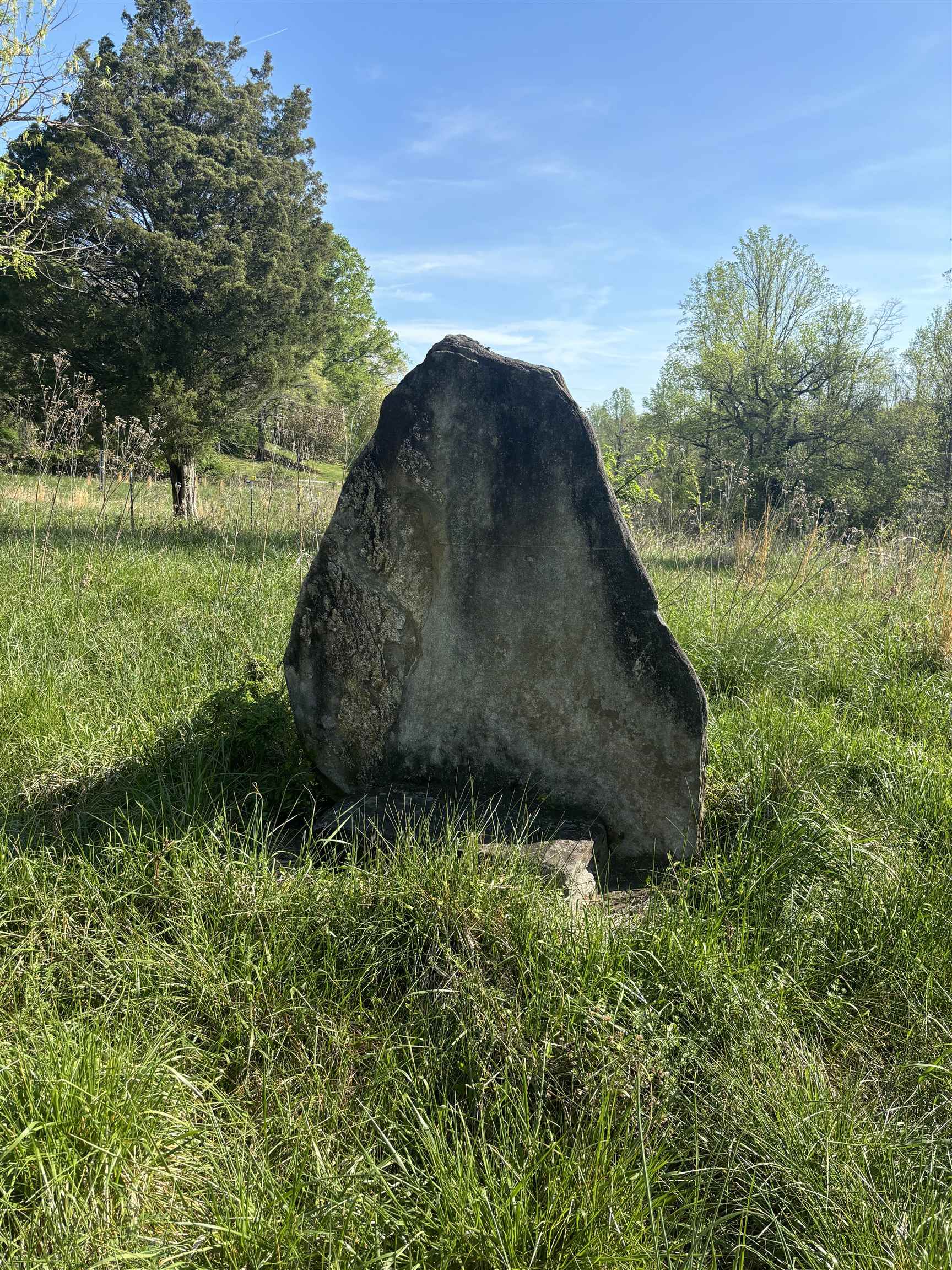 Image 13