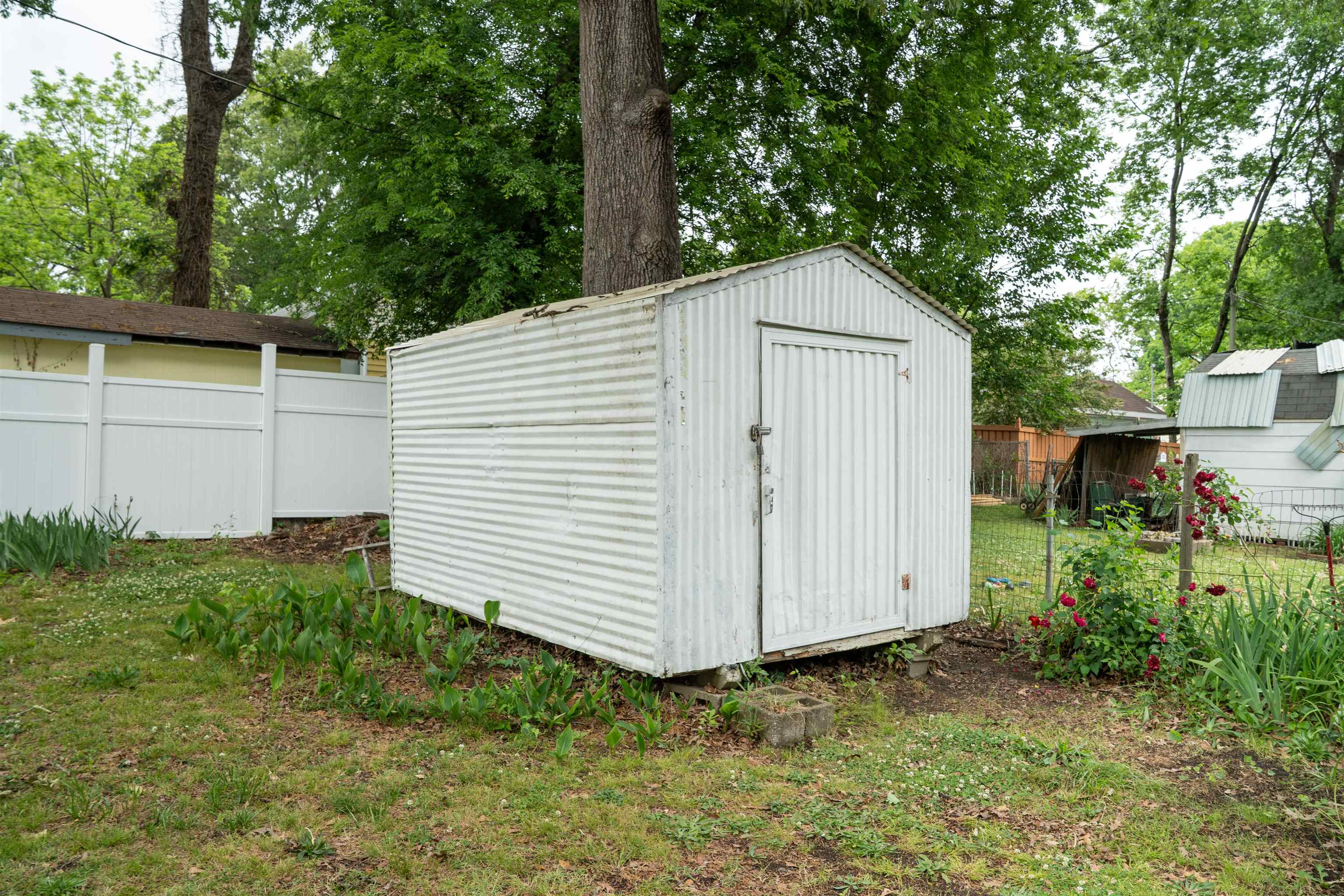 Image 19