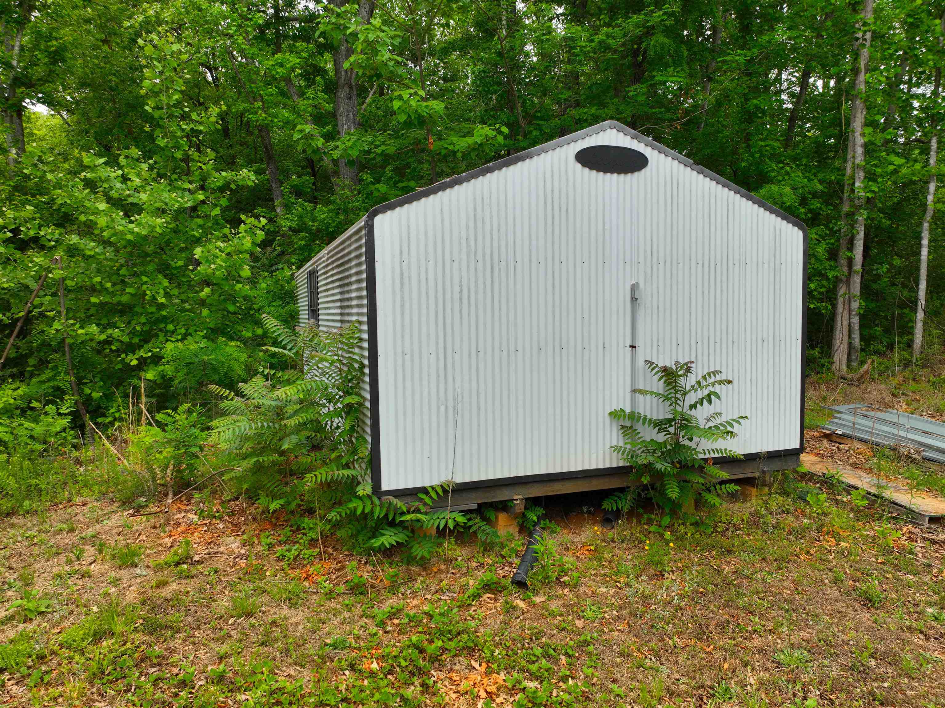 Image 12